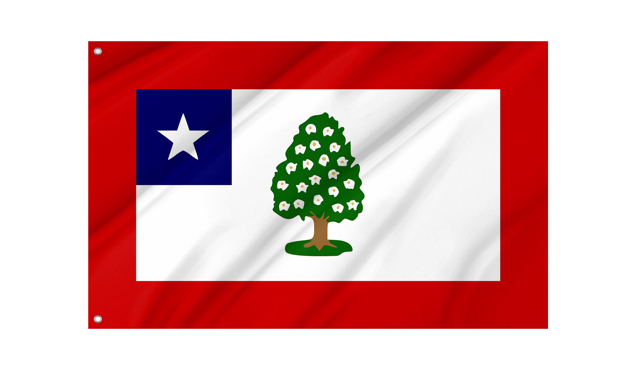 Mississippi in the American Civil War Flag for Indoor & Outdoor Use