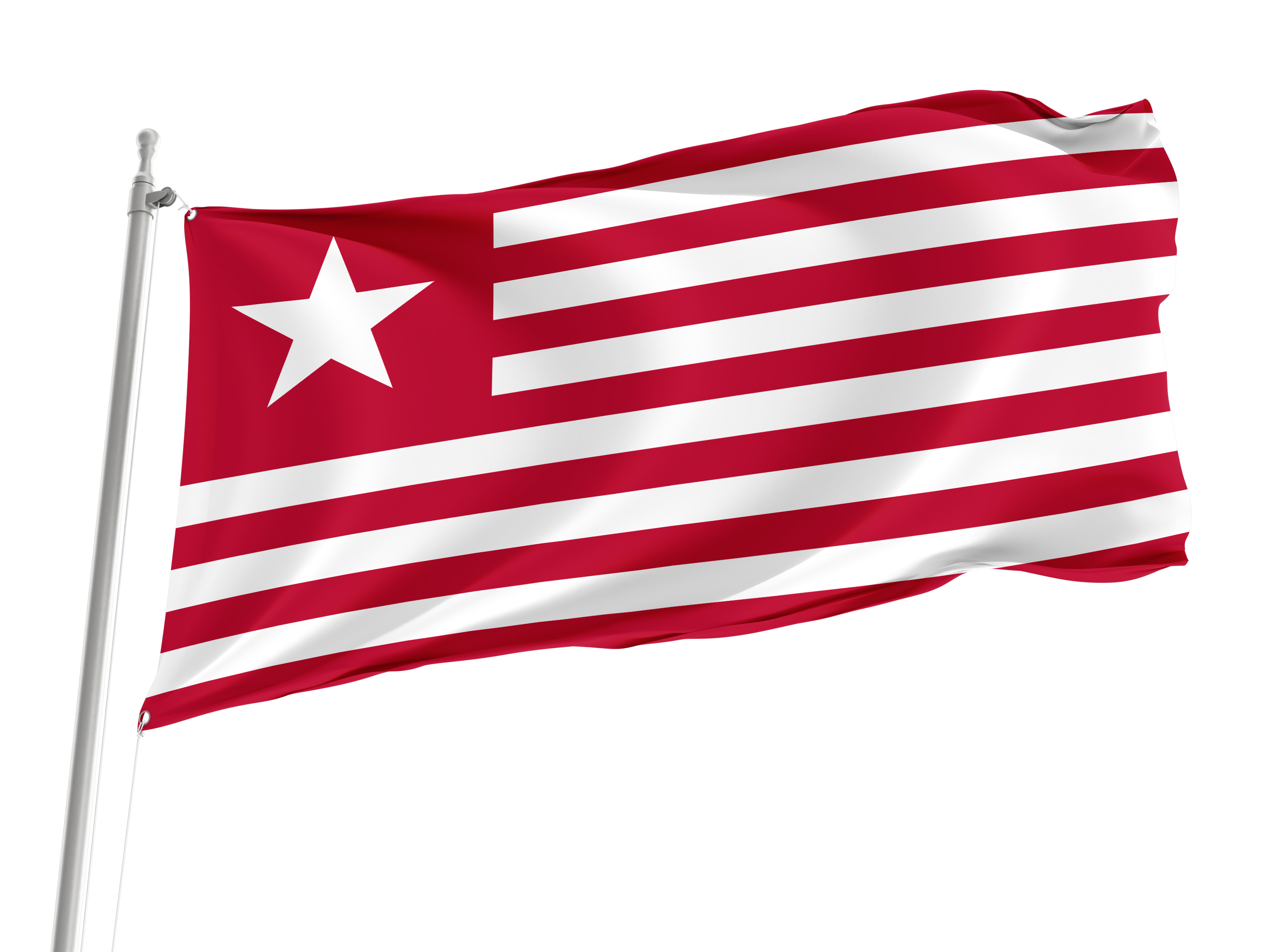 Colonel James Long's Flag for Indoor & Outdoor Use