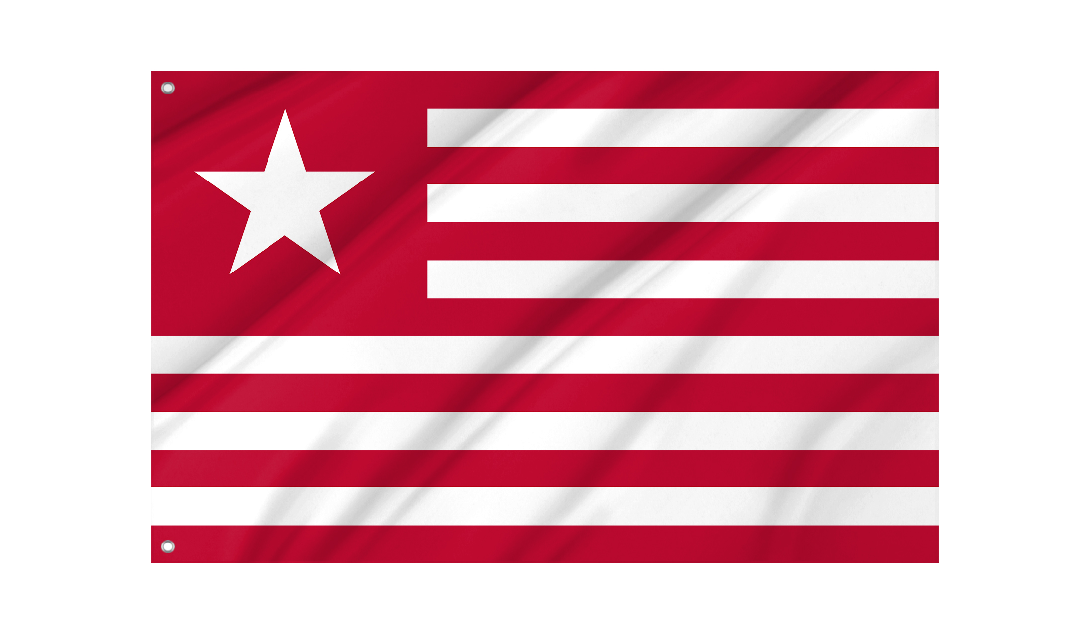 Colonel James Long's Flag for Indoor & Outdoor Use