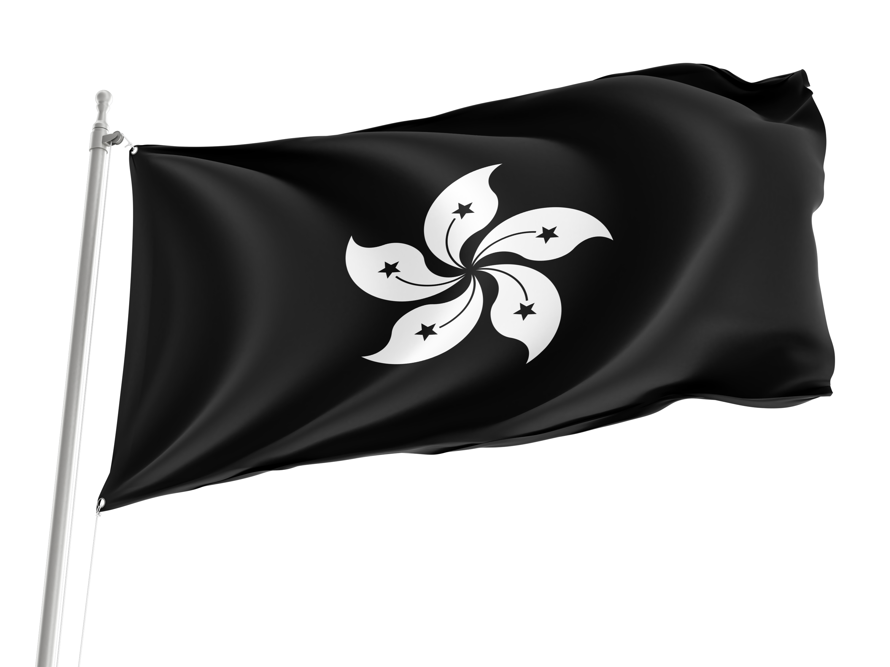 Black Bauhinia Flag for Indoor & Outdoor Use