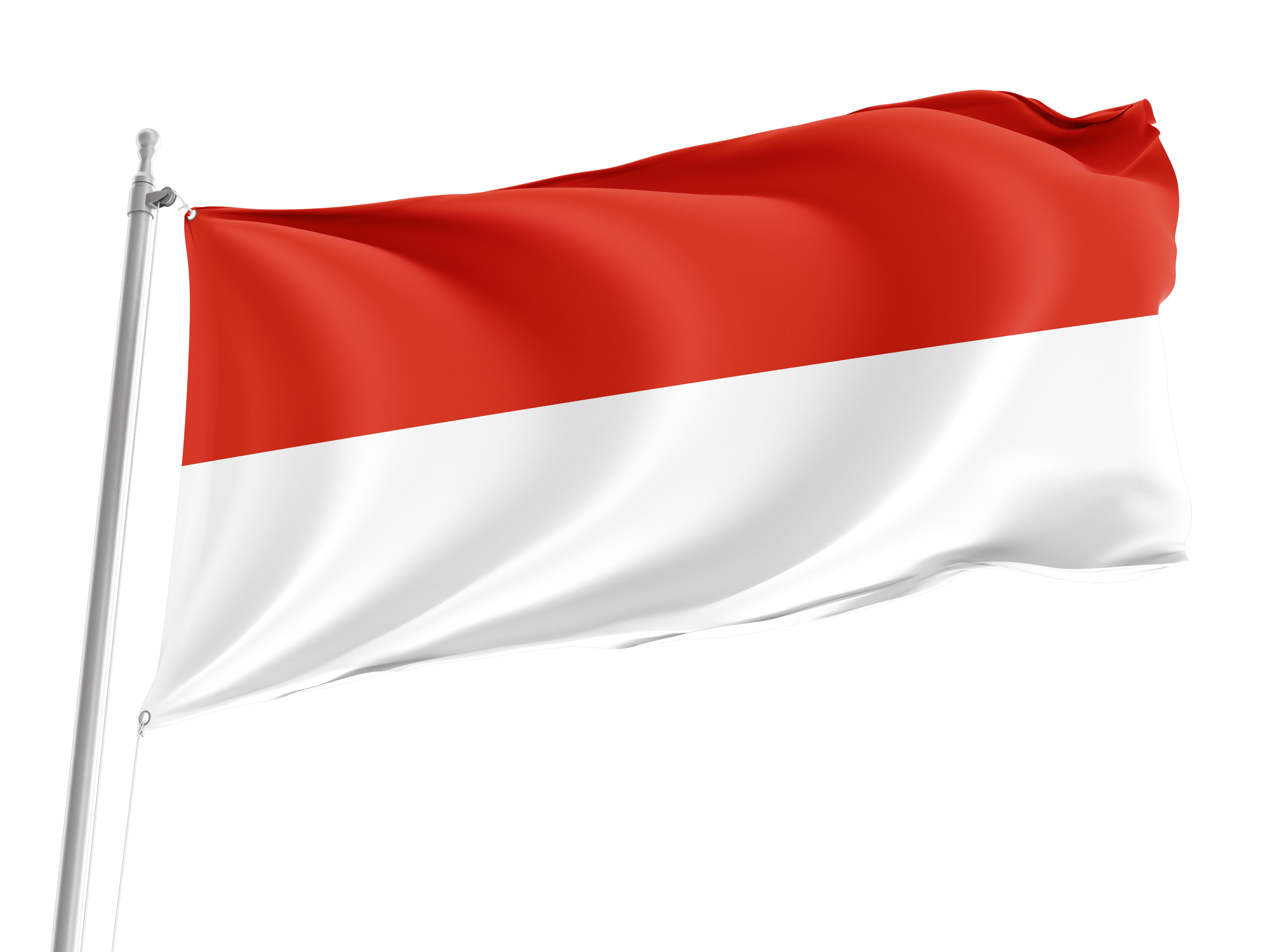 Tarija Flag for Indoor & Outdoor Use