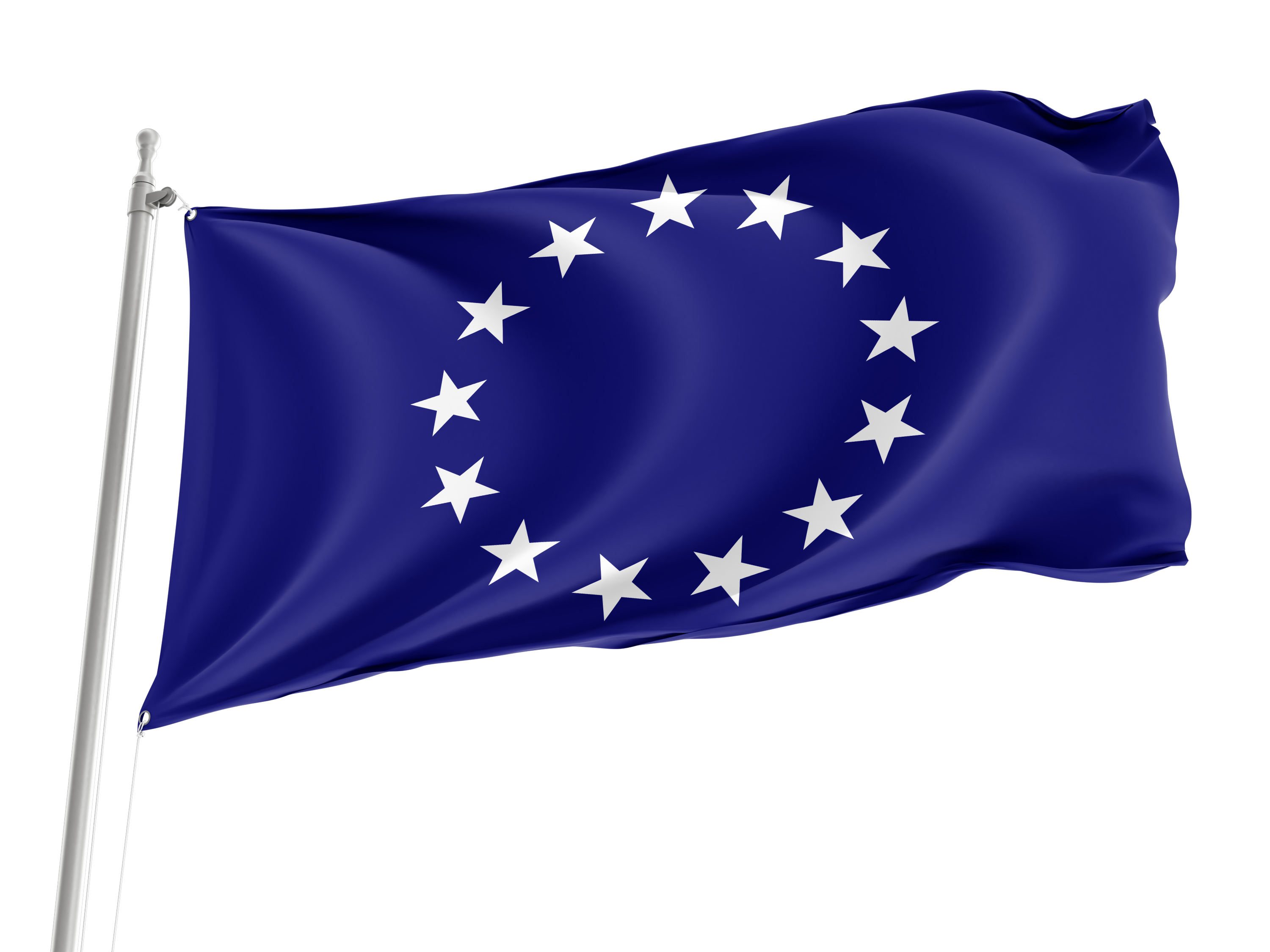 United States Foreign Service Officer Flag for Indoor & Outdoor Use