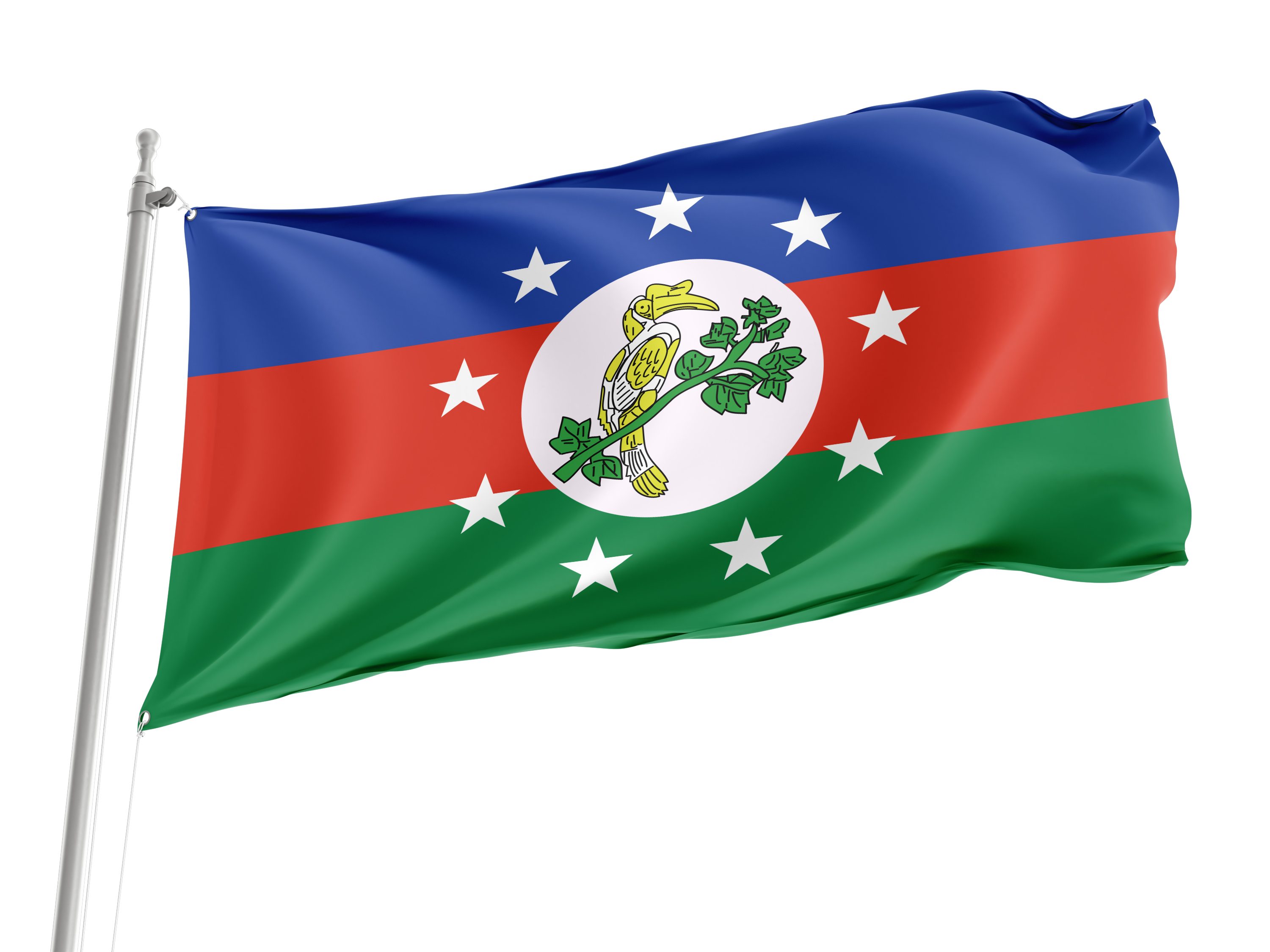 Chin State Flag for Indoor & Outdoor Use