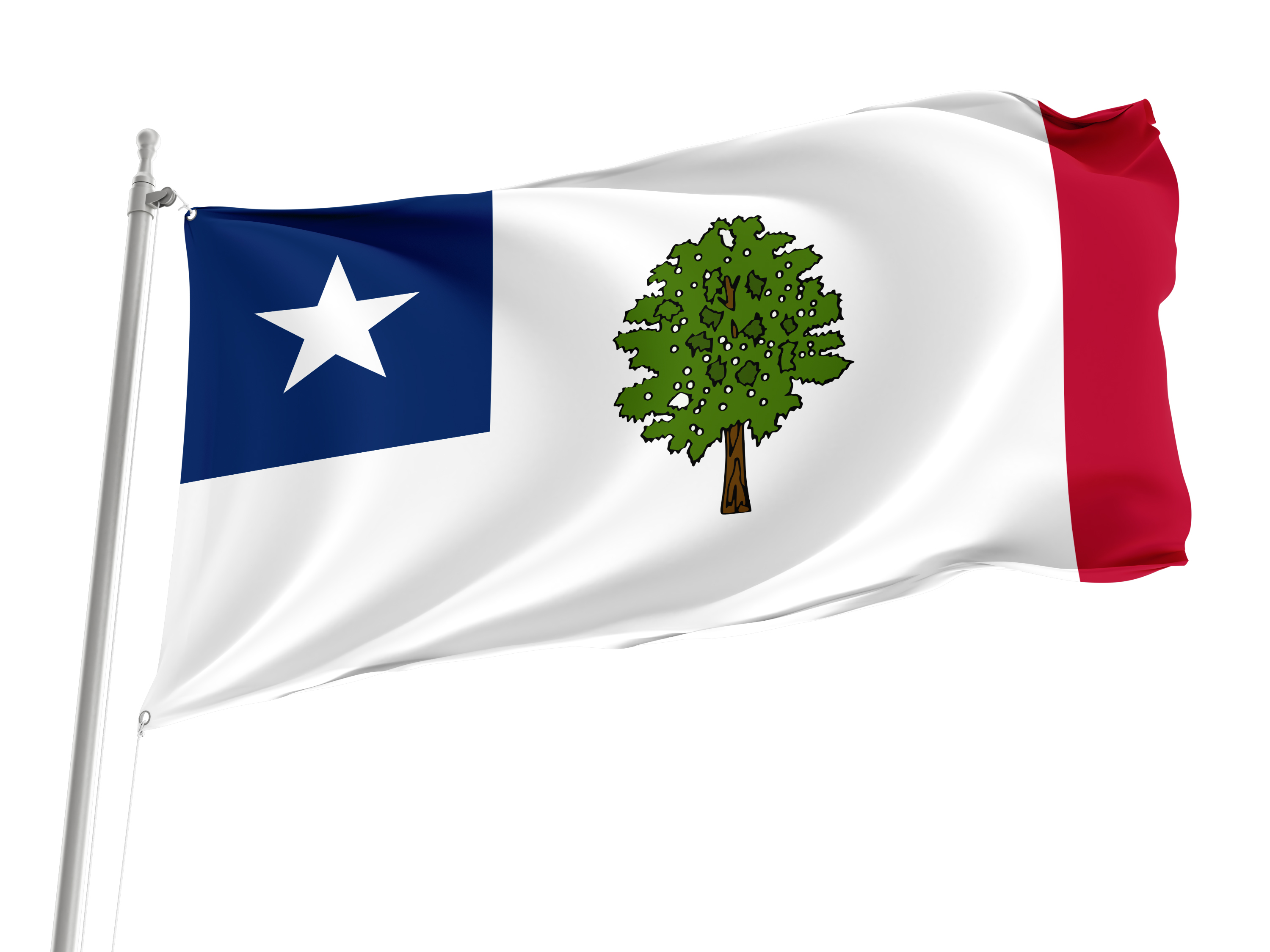 Mississippi 1861-1865 Flag for Indoor & Outdoor Use