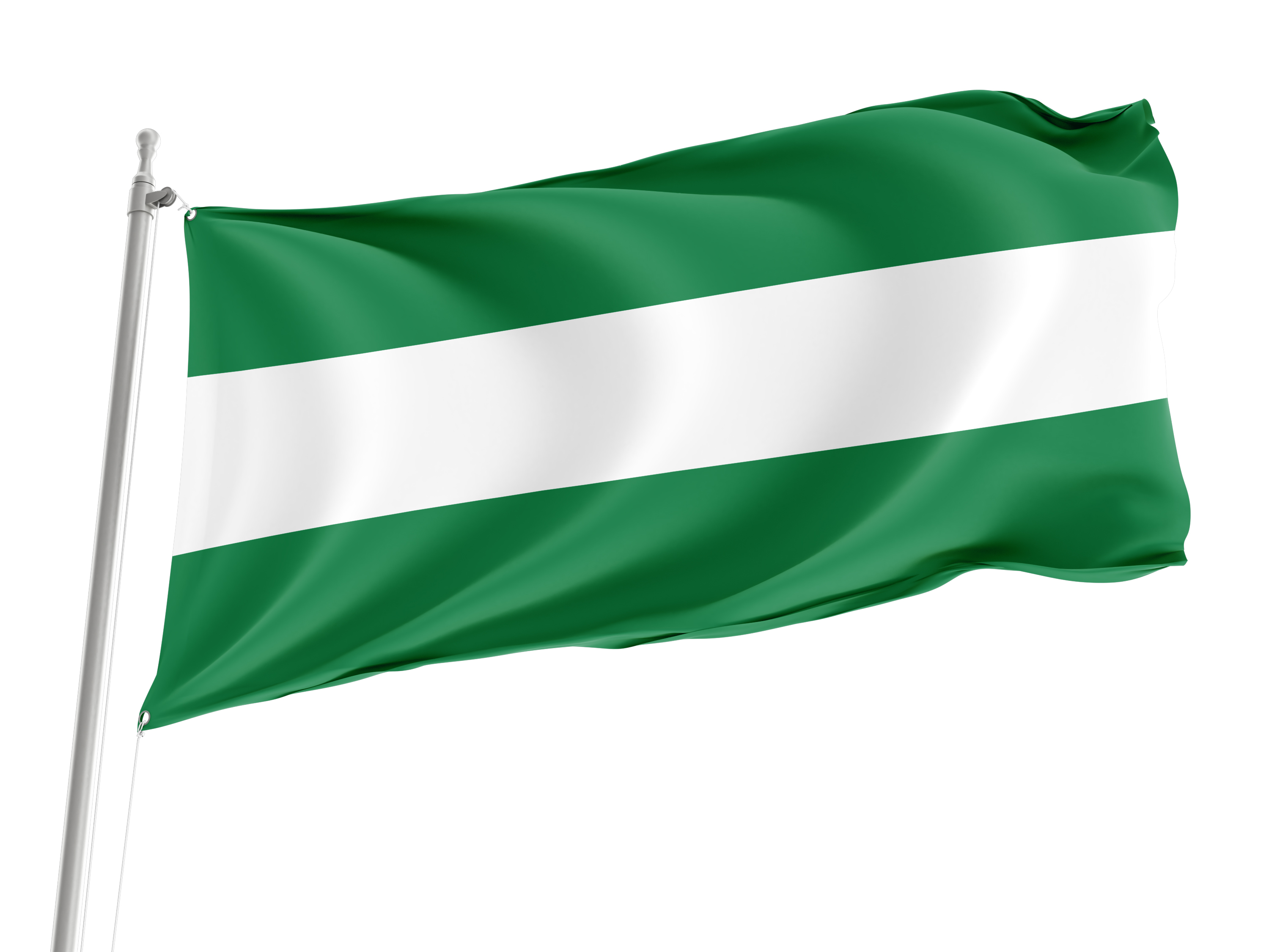 Santa Cruz Flag for Indoor & Outdoor Use