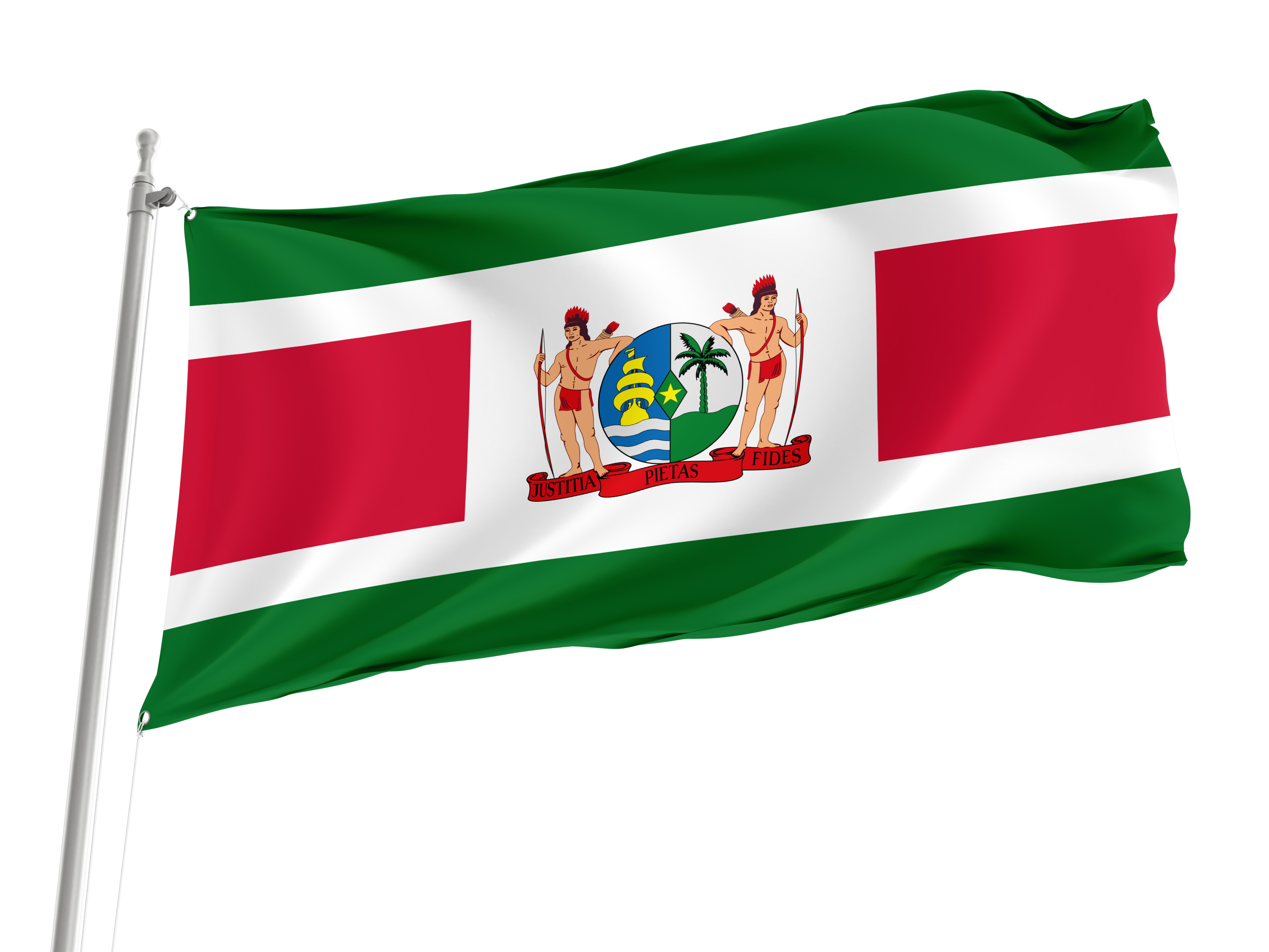 President of Suriname Flag for Indoor & Outdoor Use