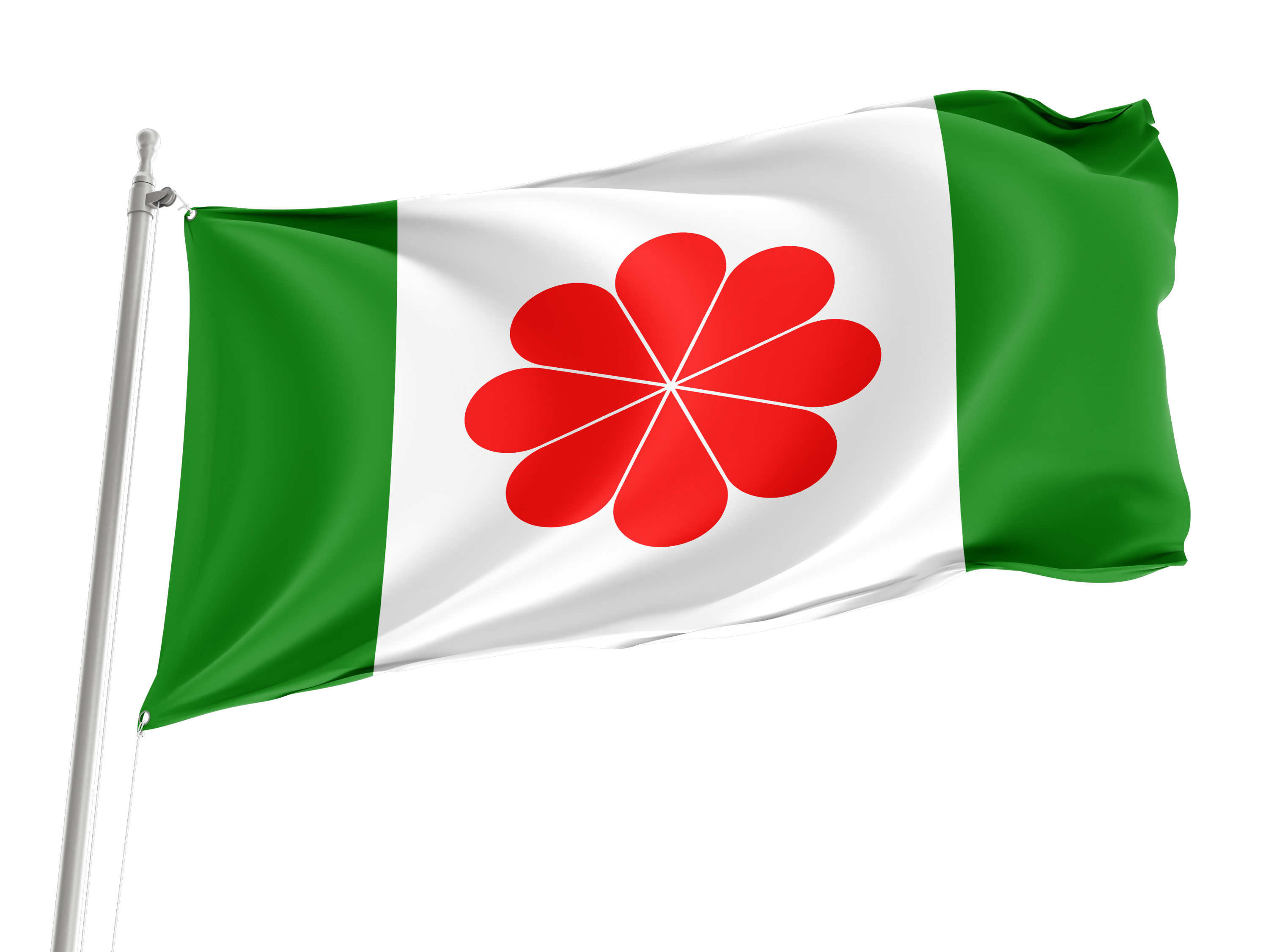 Proposed Flag of Taiwan for Indoor & Outdoor Use