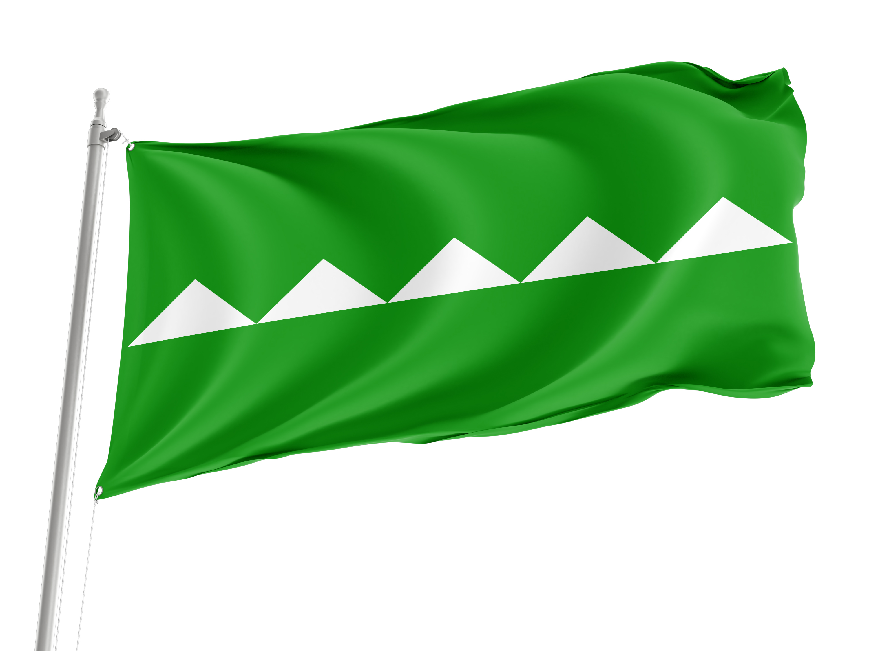 Salinas Flag for Indoor & Outdoor Use