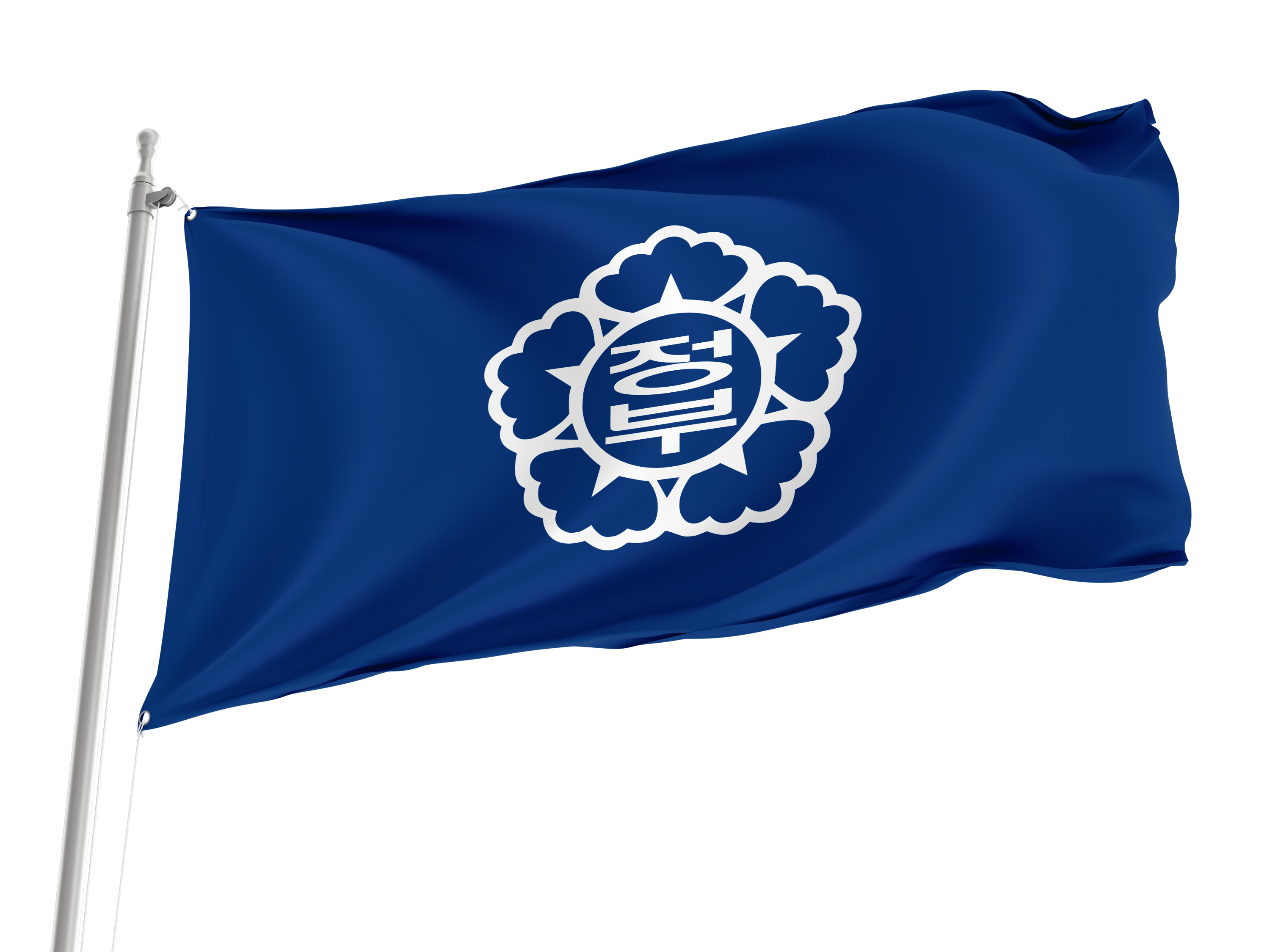 Government of South Korea 1988-2016 Flag for Indoor & Outdoor Use