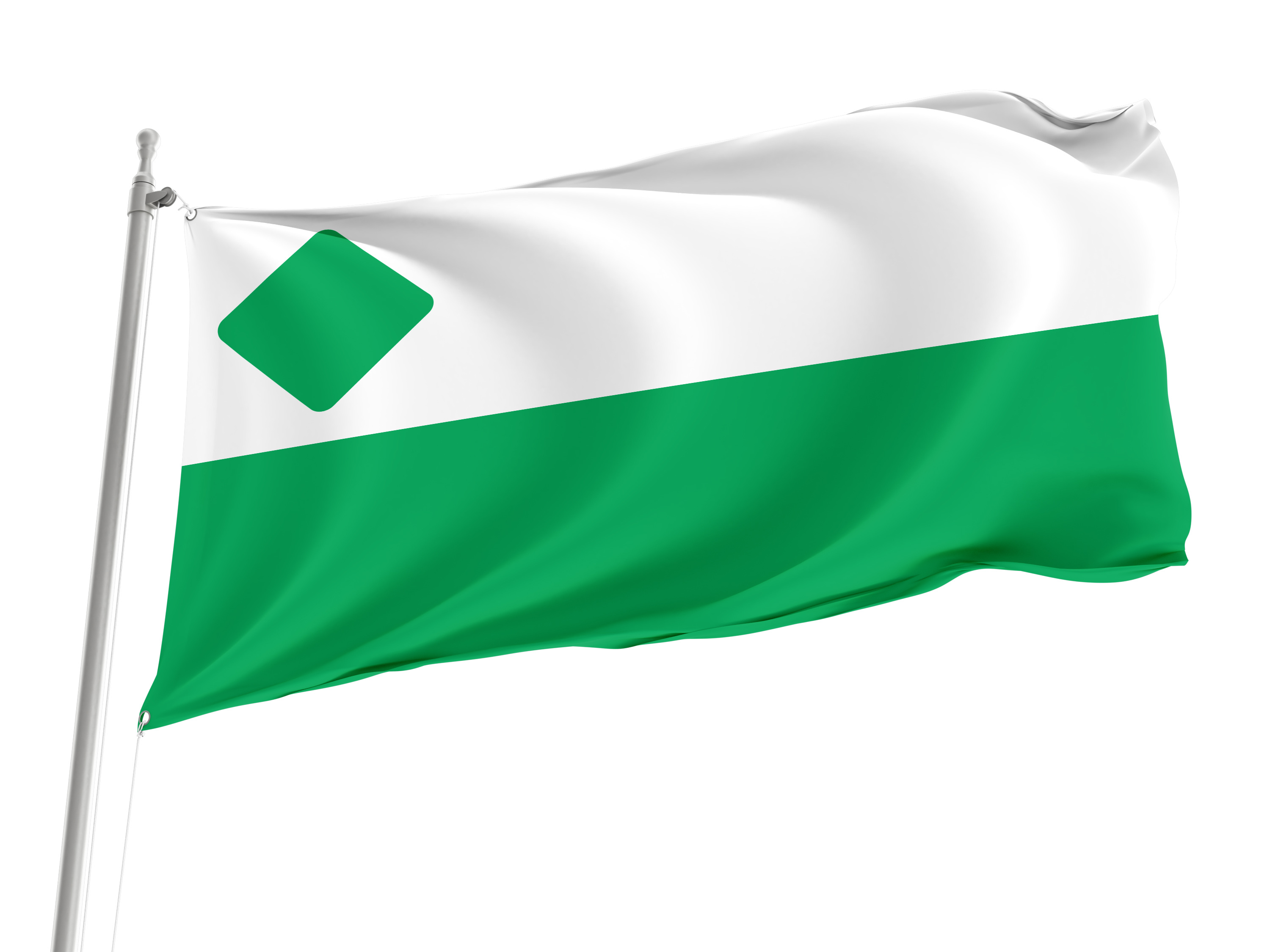 Green Party of the United States Flag for Indoor & Outdoor Use