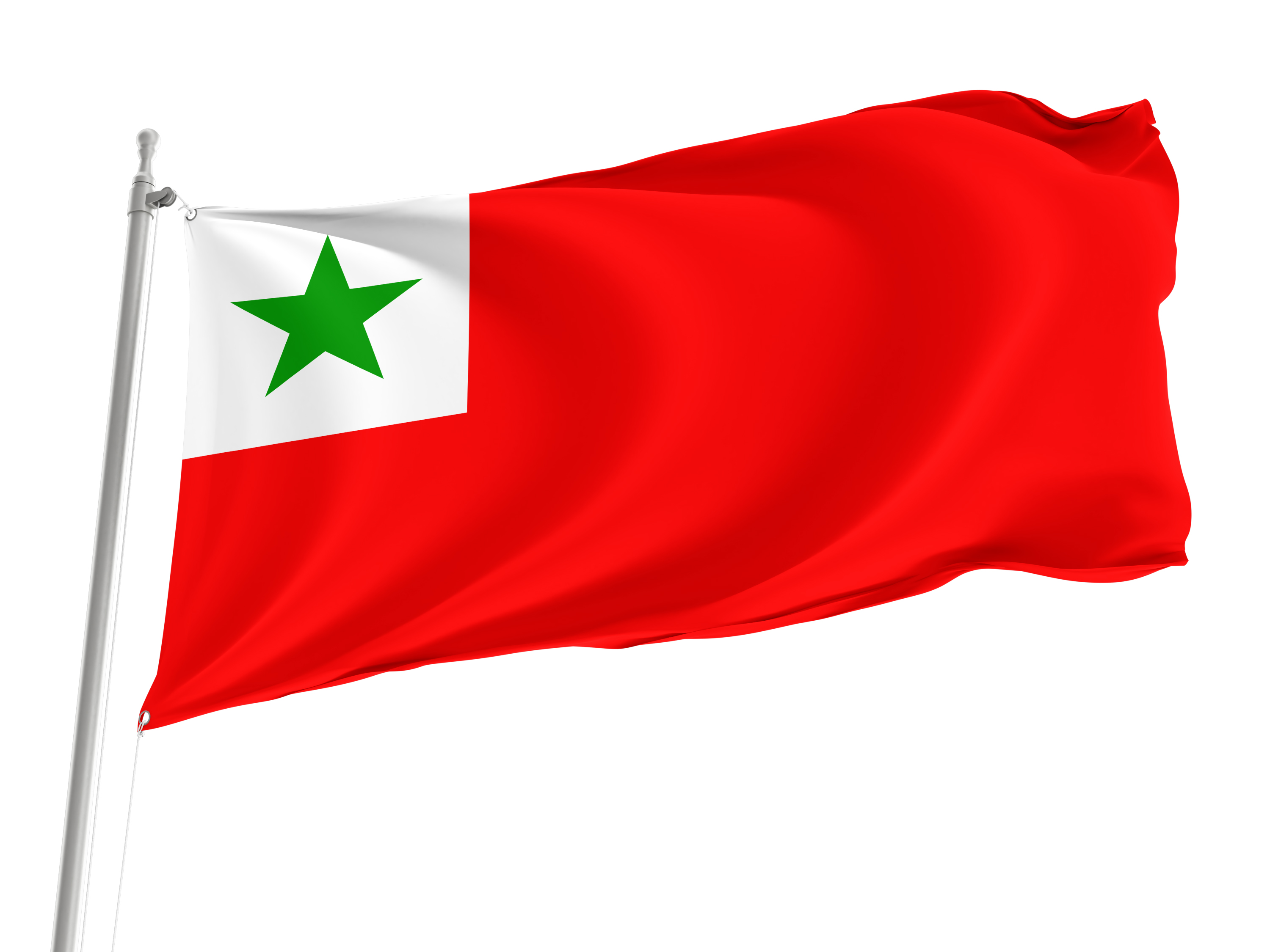 SAT-Amikaro Flag for Indoor & Outdoor Use
