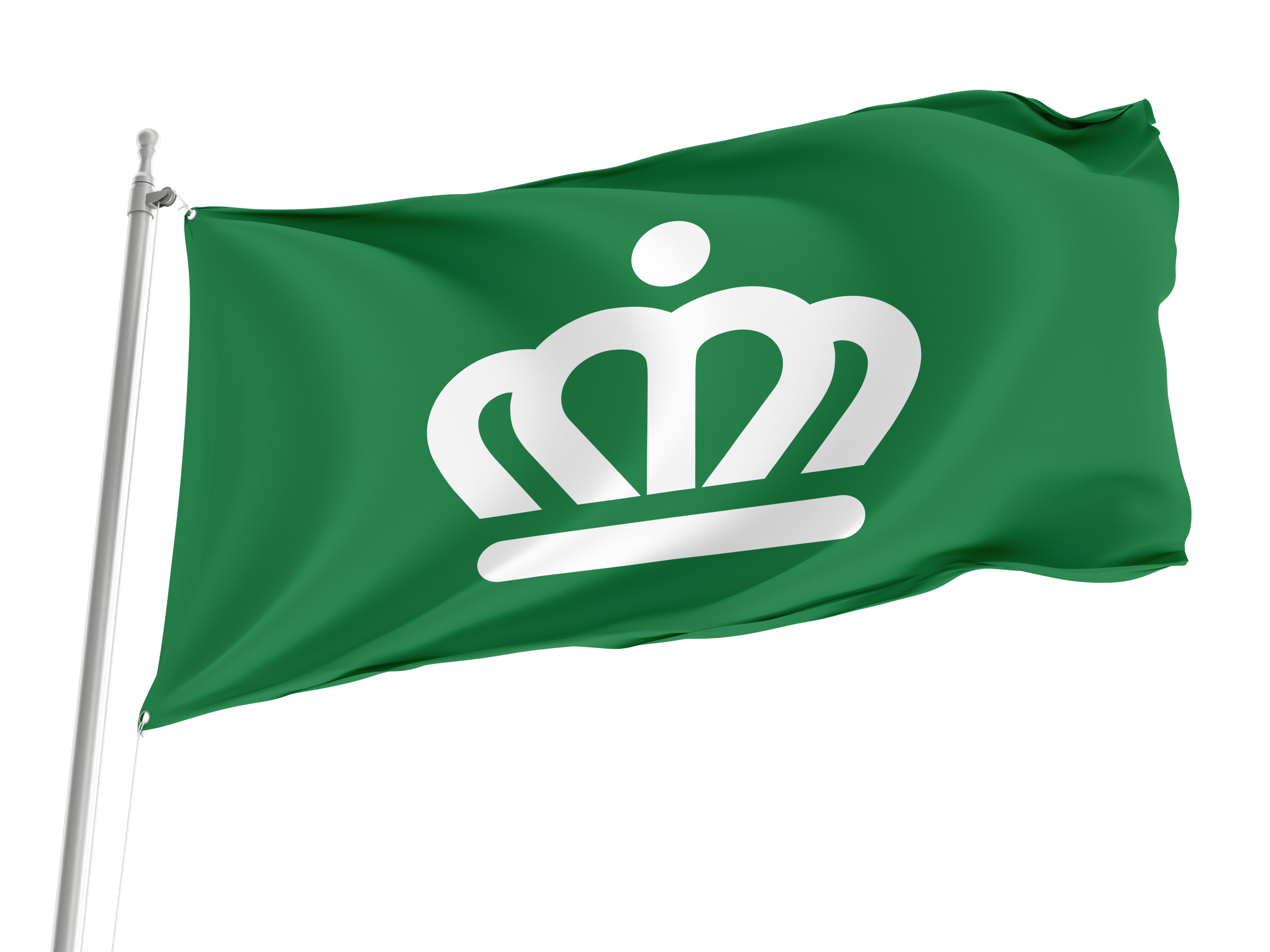 Charlotte, North Carolina Green Flag for Indoor & Outdoor Use