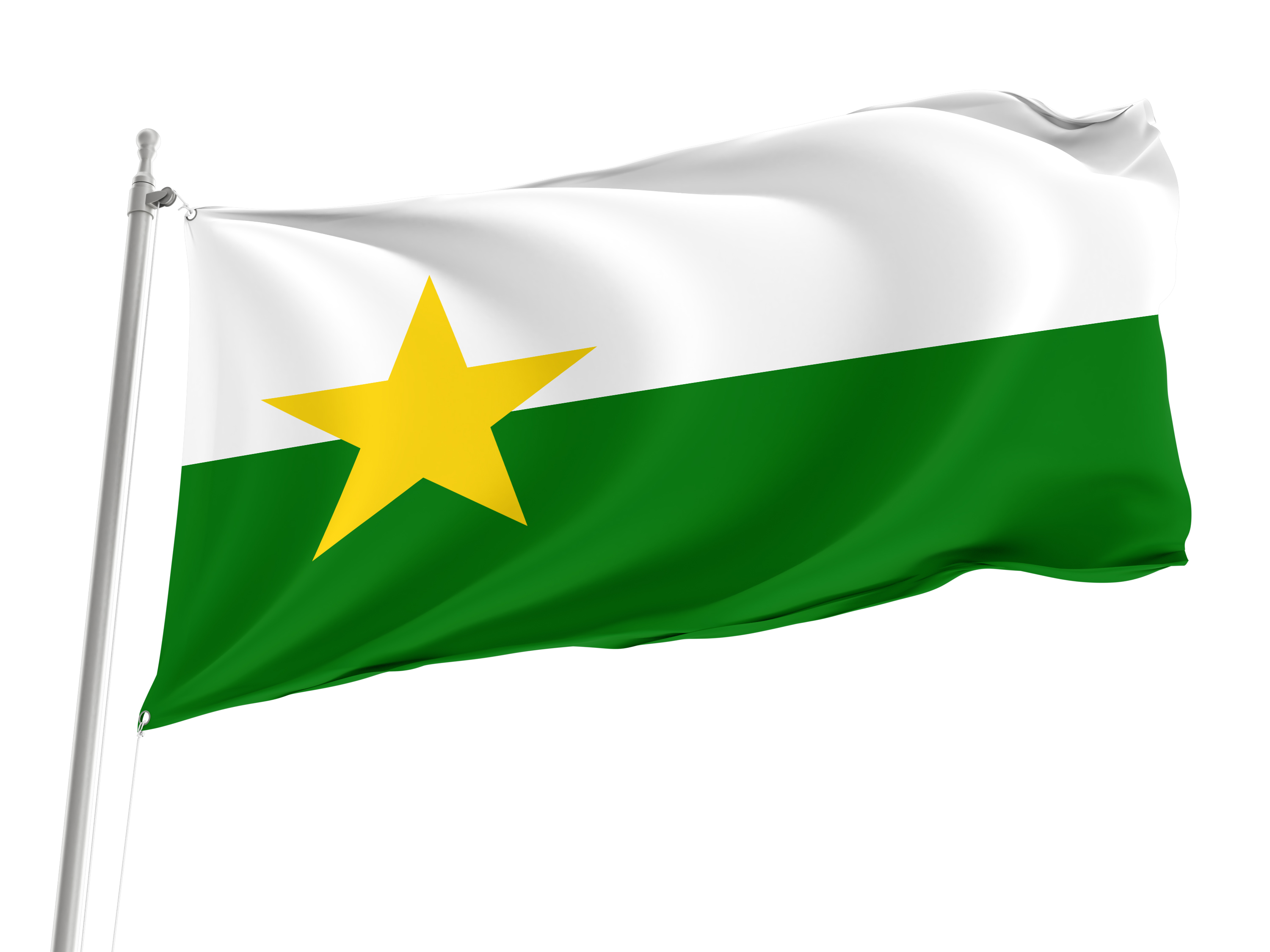 Forsyth County Flag for Indoor & Outdoor Use