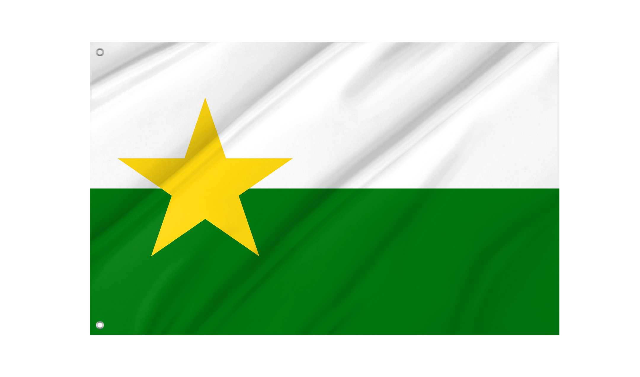 Forsyth County Flag for Indoor & Outdoor Use