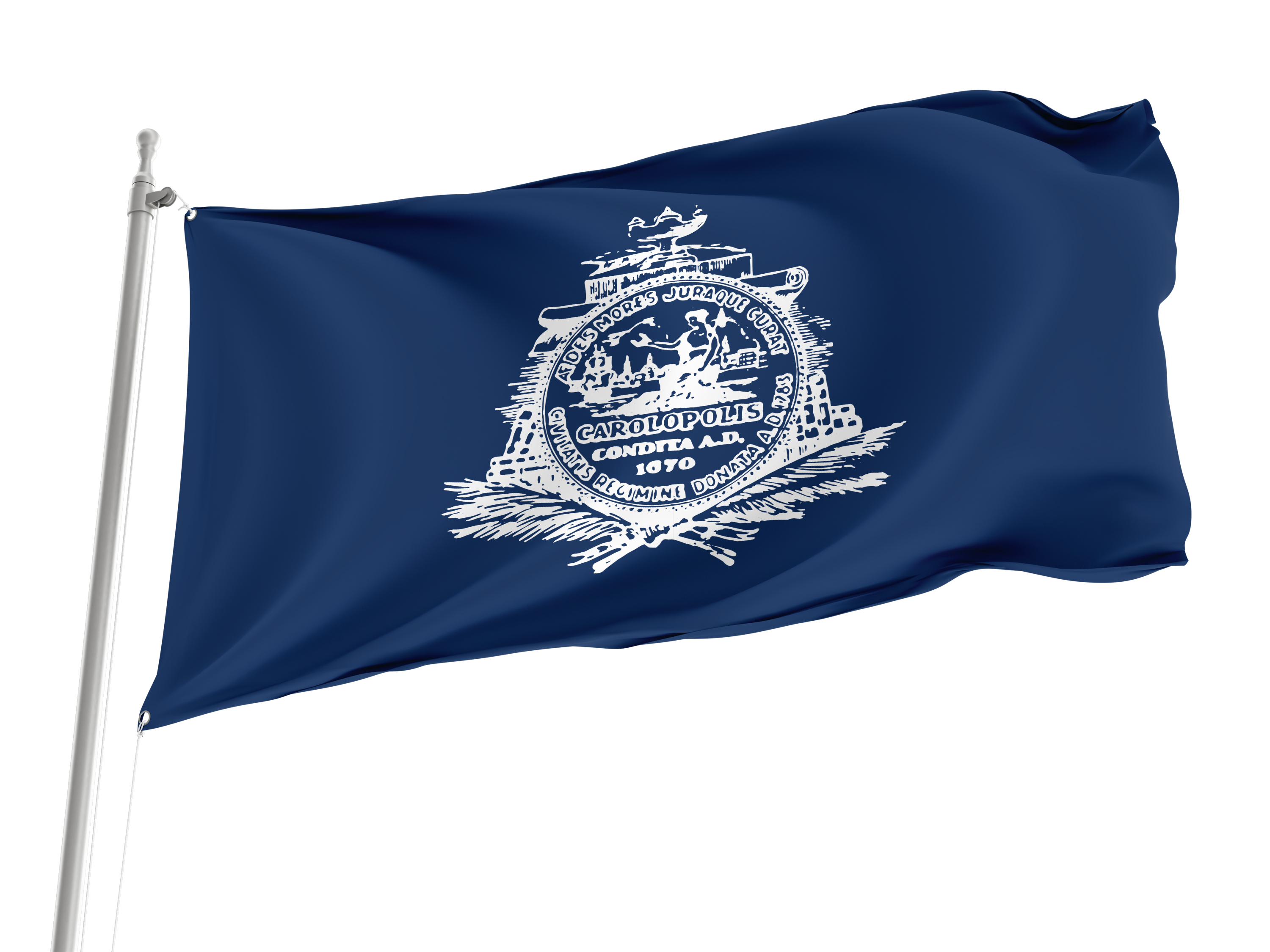 Charleston Flag for Indoor & Outdoor Use