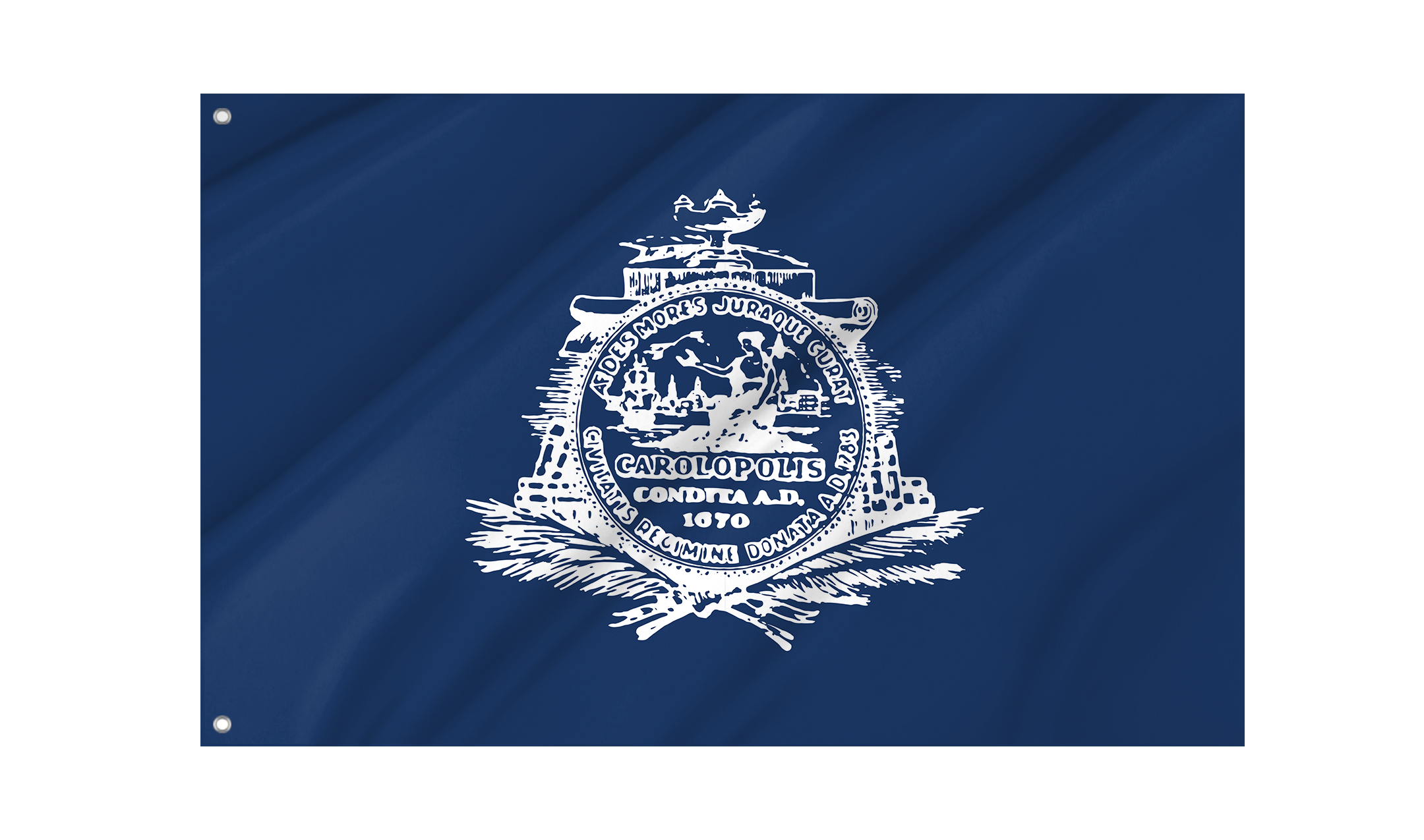 Charleston Flag for Indoor & Outdoor Use