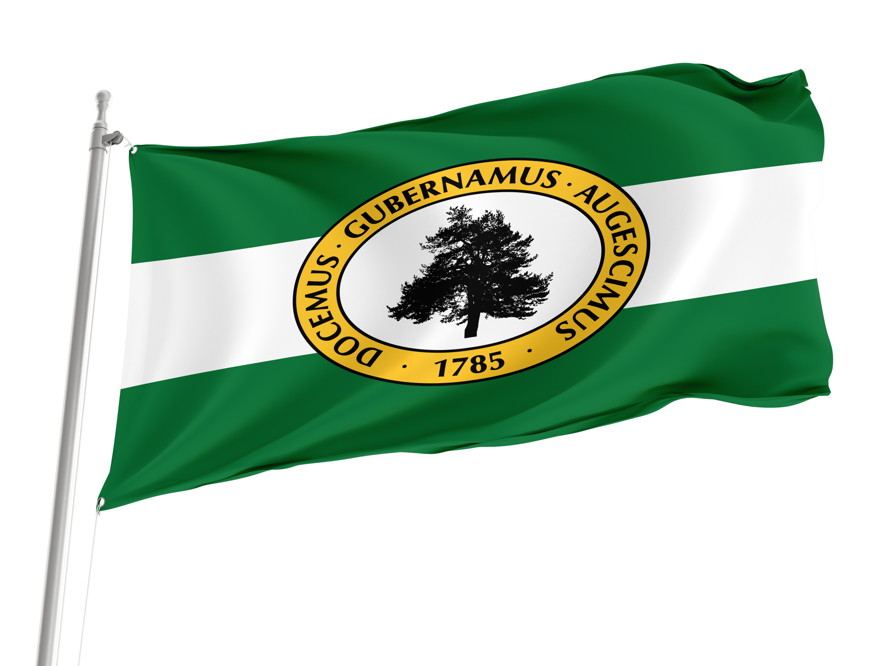Richland County Flag for Indoor & Outdoor Use