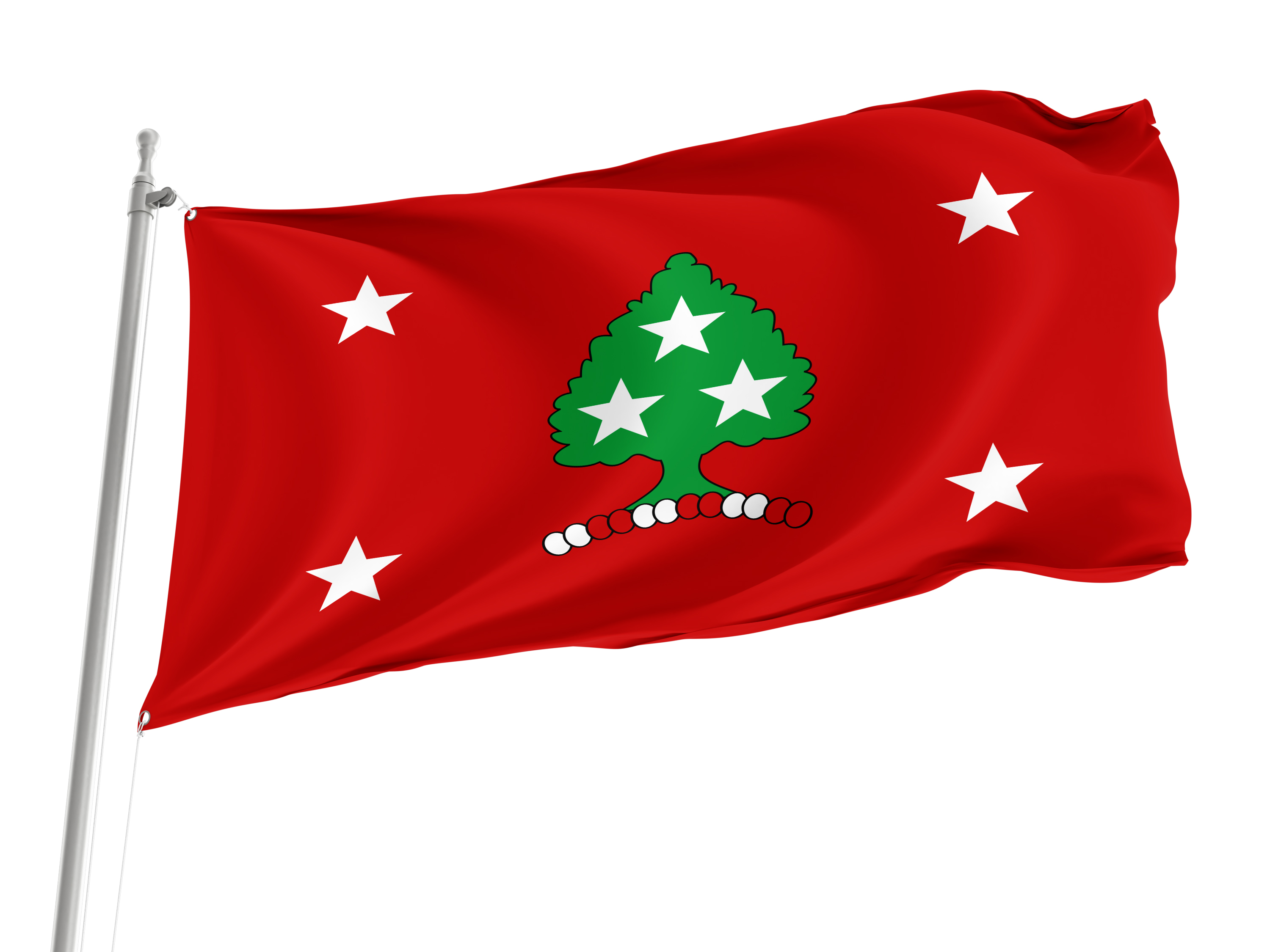 Governor of Tennessee Flags for Indoor & Outdoor Use
