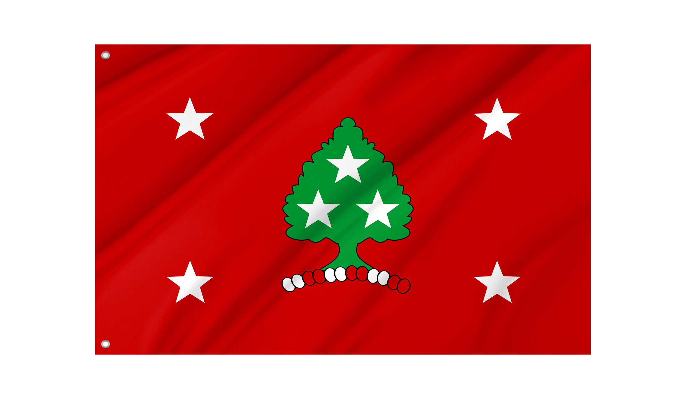 Governor of Tennessee Flags for Indoor & Outdoor Use