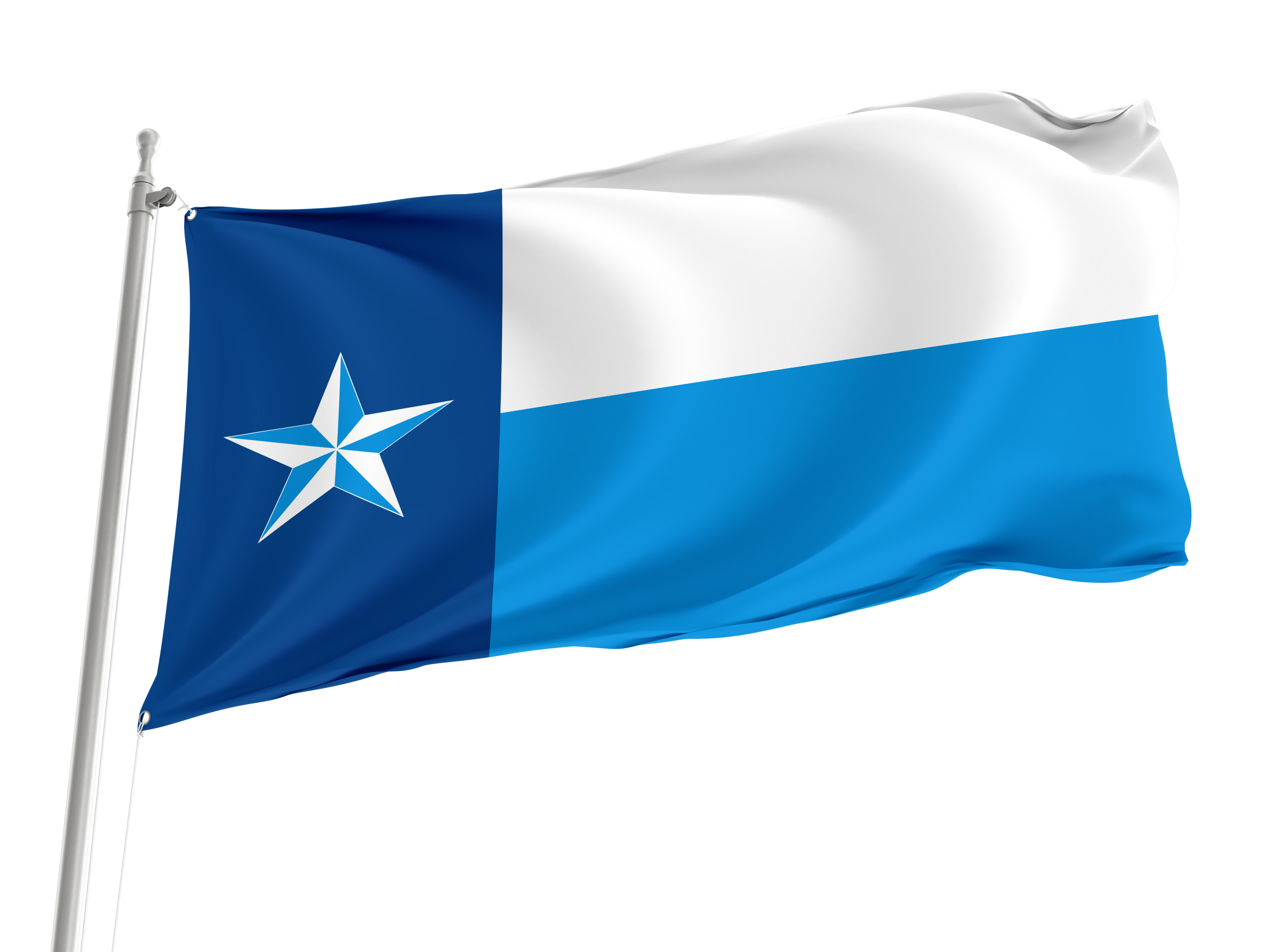 Dallas County Flag for Indoor & Outdoor Use