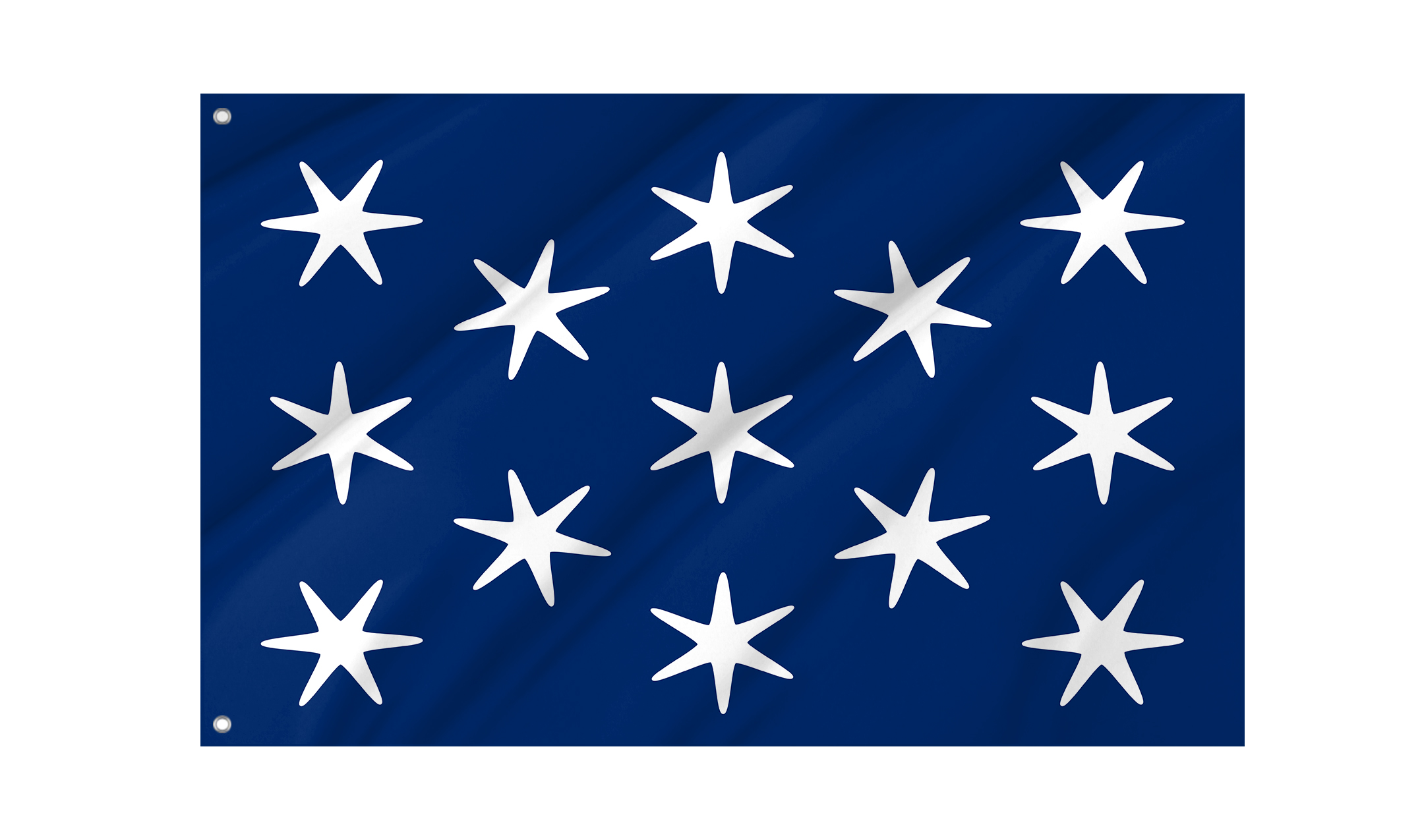 George Washington Personal Position Flag for Indoor & Outdoor Use