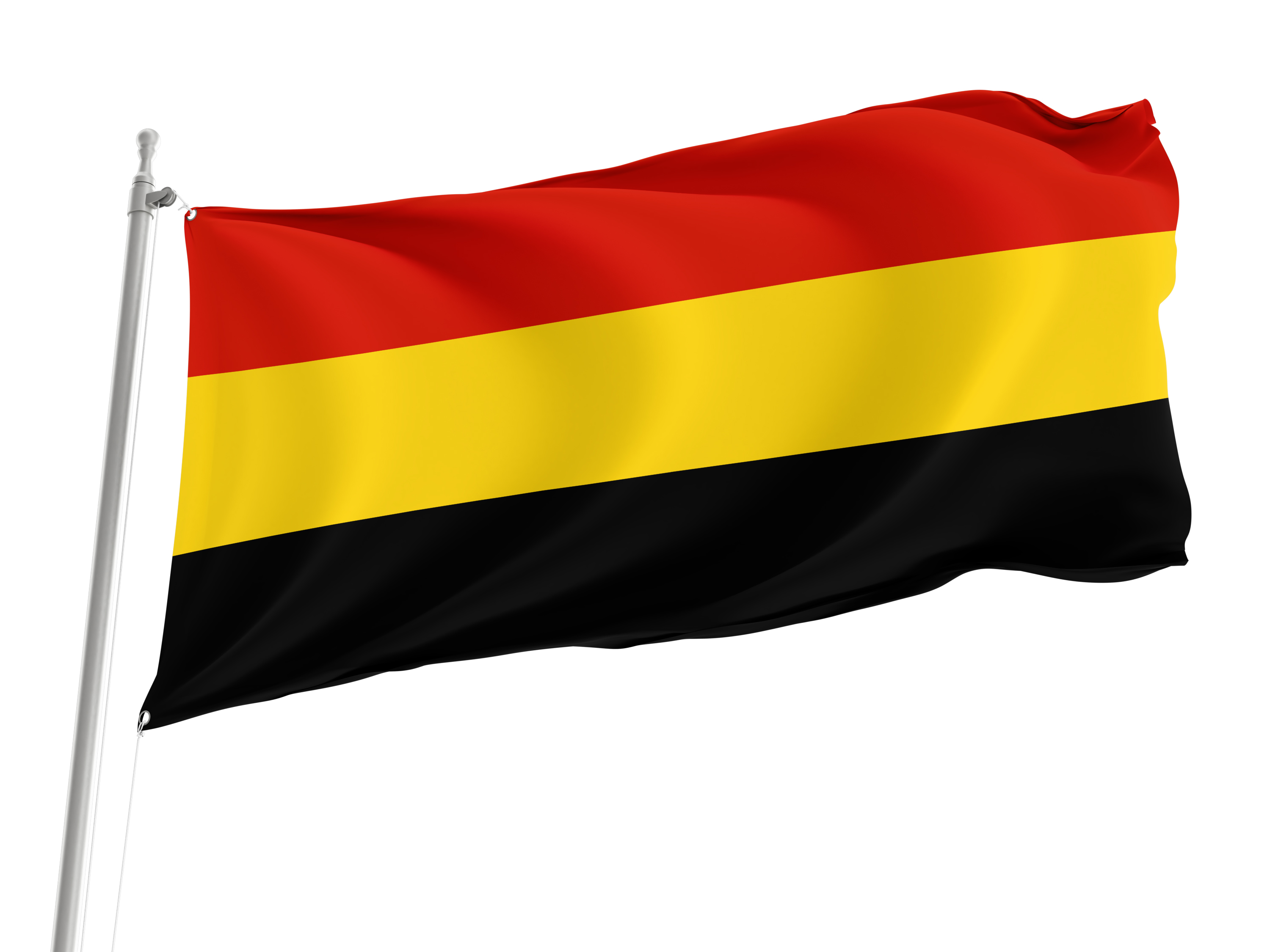 Coamo Flag for Indoor & Outdoor Use