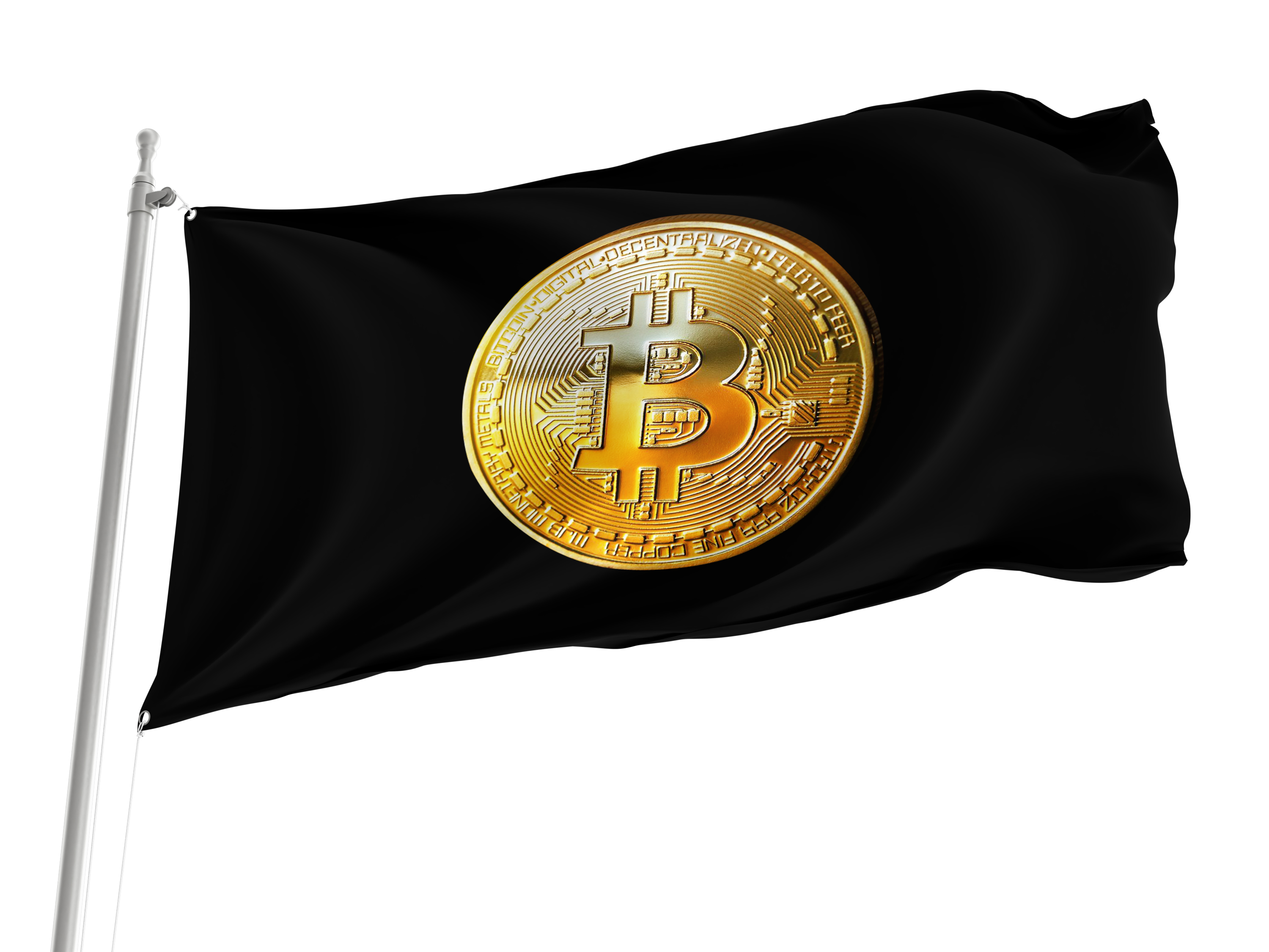 Bitcoin Gold Cryptocurrency Black Flag