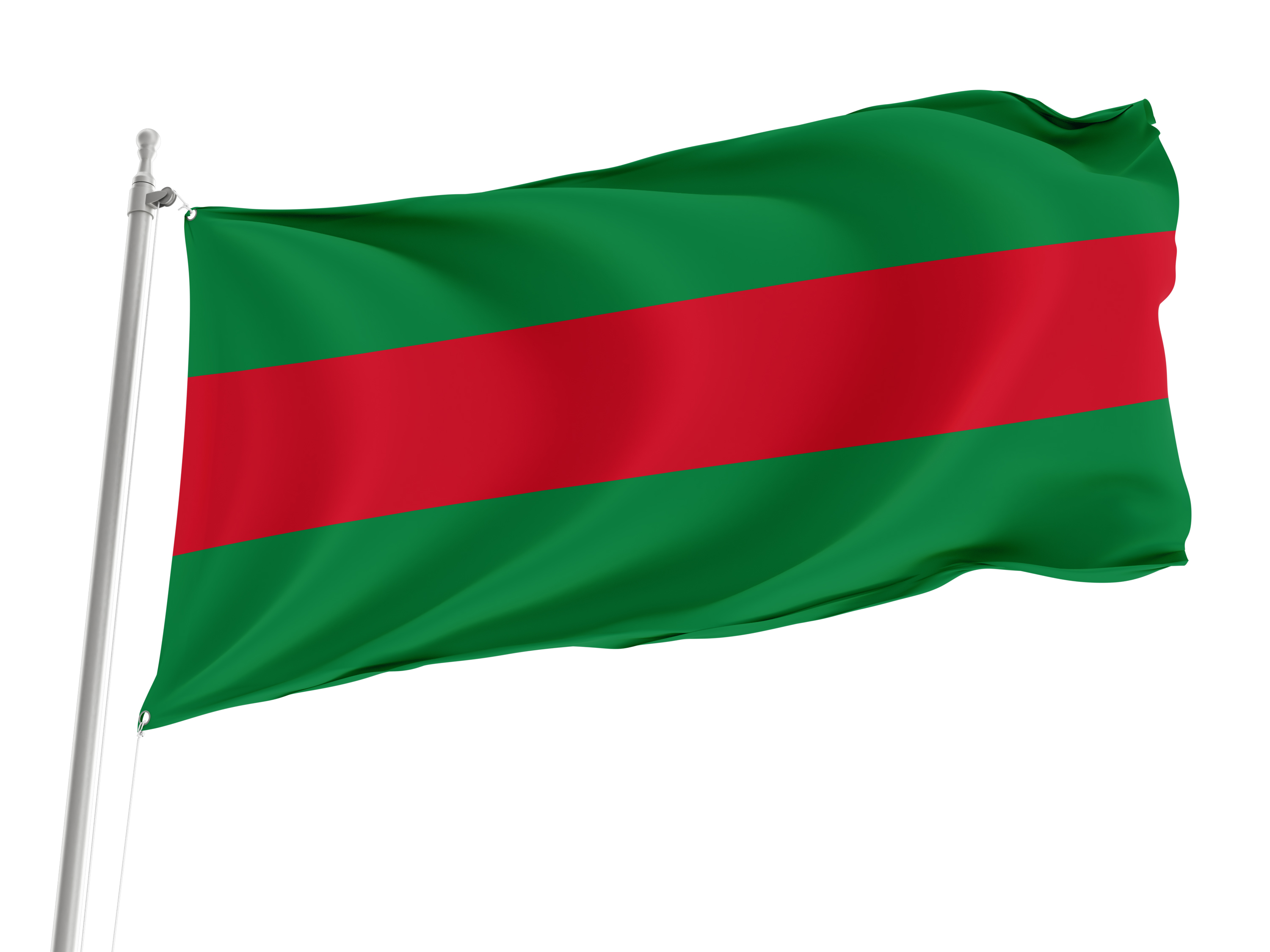 Jipijapa Flag, Unique Design Print