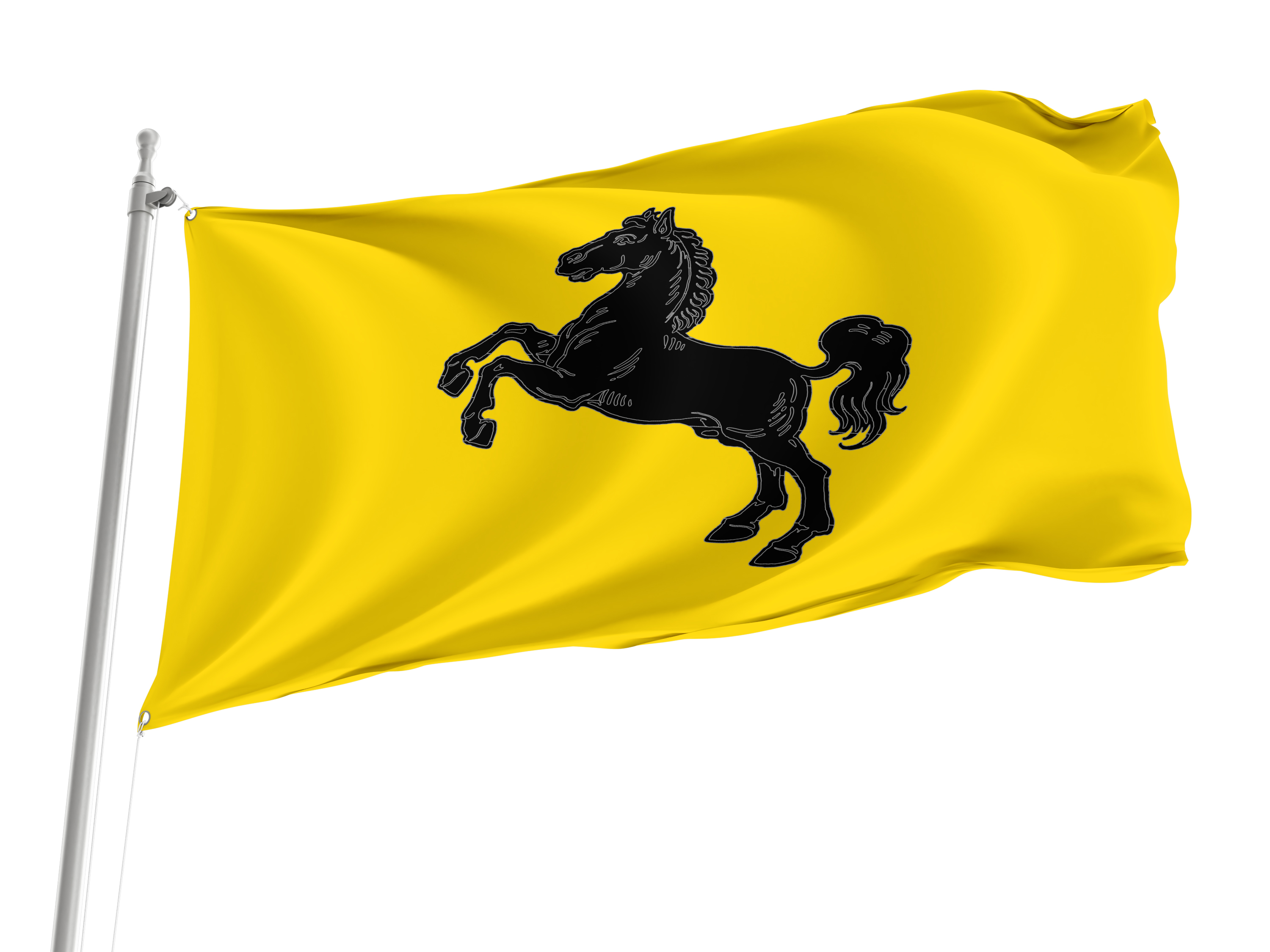 Metropolitan City of Naples Flag for Indoor & Outdoor Use