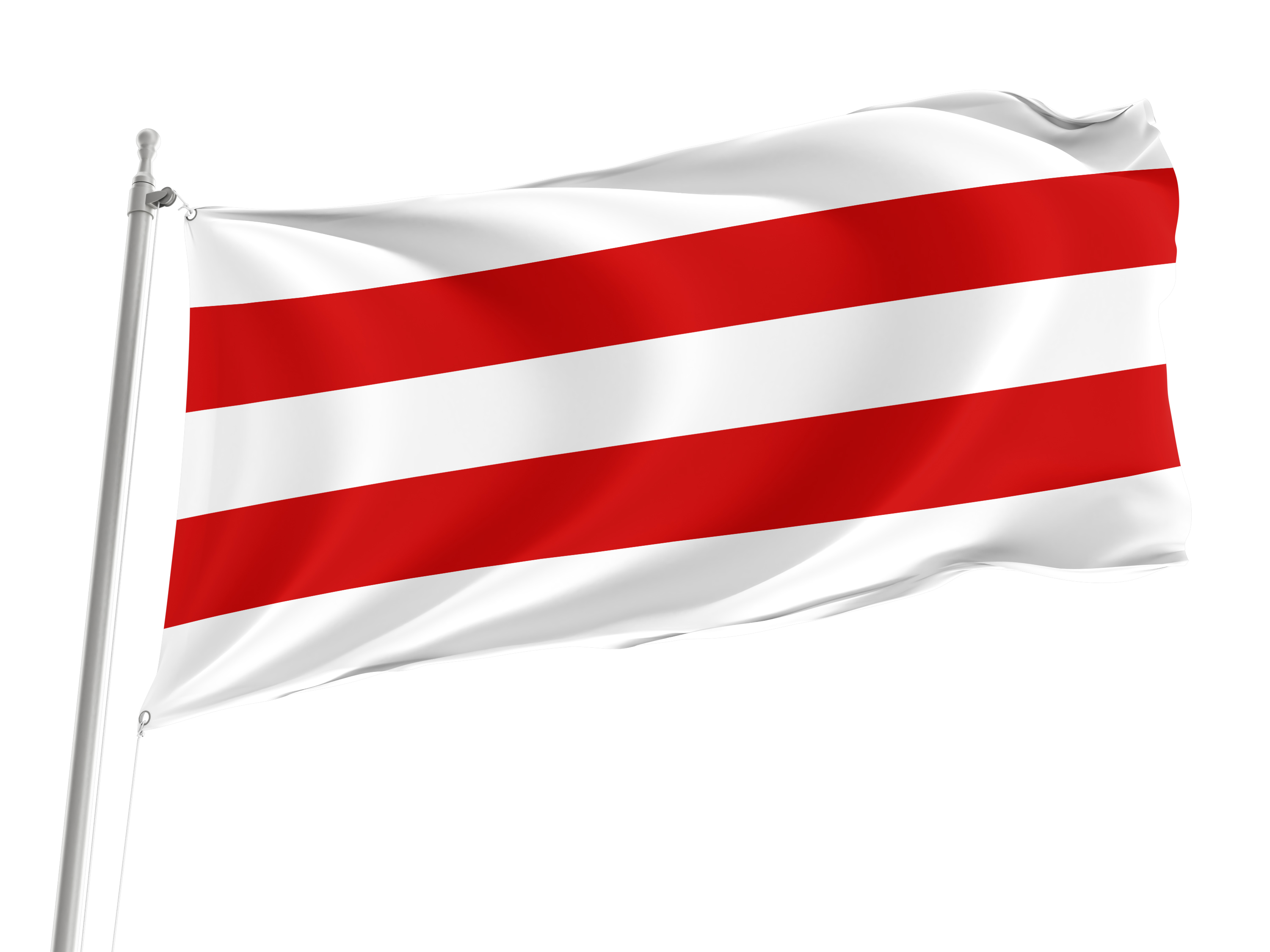 Carpi Flag for Indoor & Outdoor Use