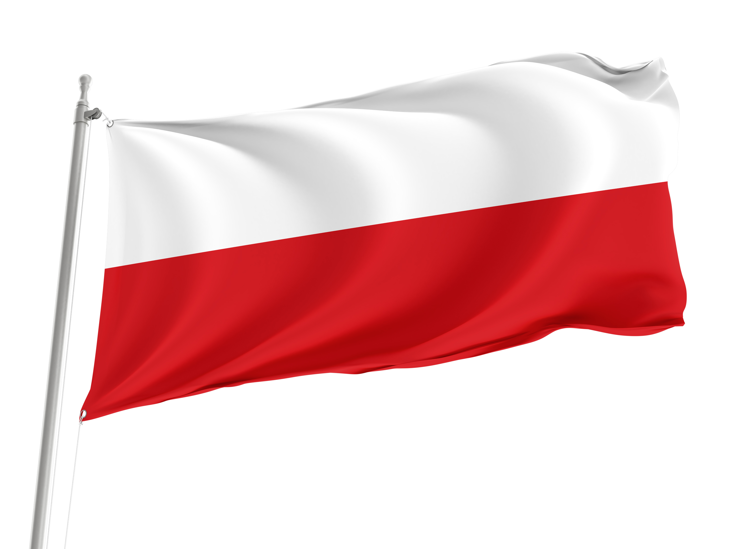 Forlì Flag for Indoor & Outdoor Use