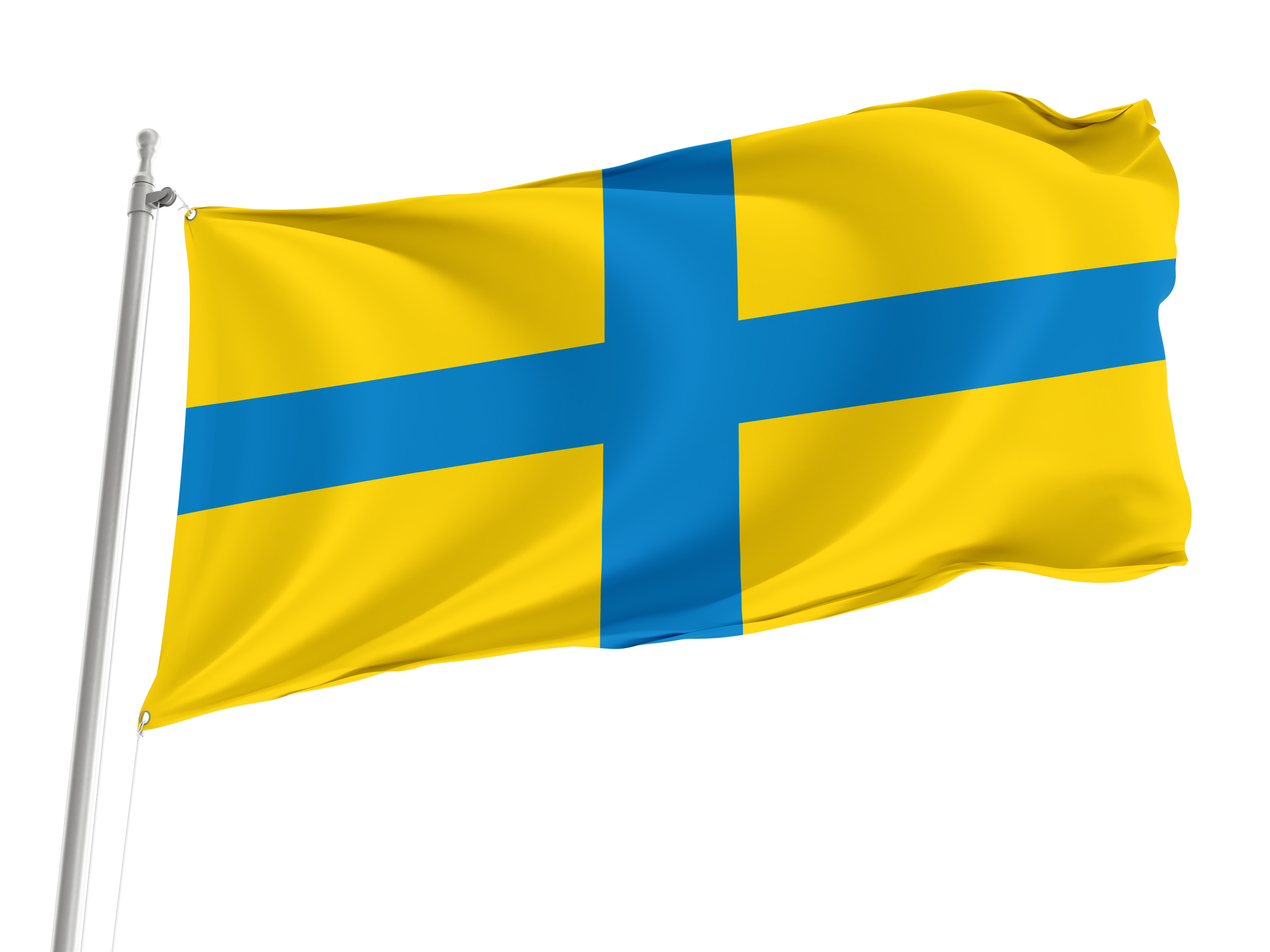 Parma Flag for Indoor & Outdoor Use
