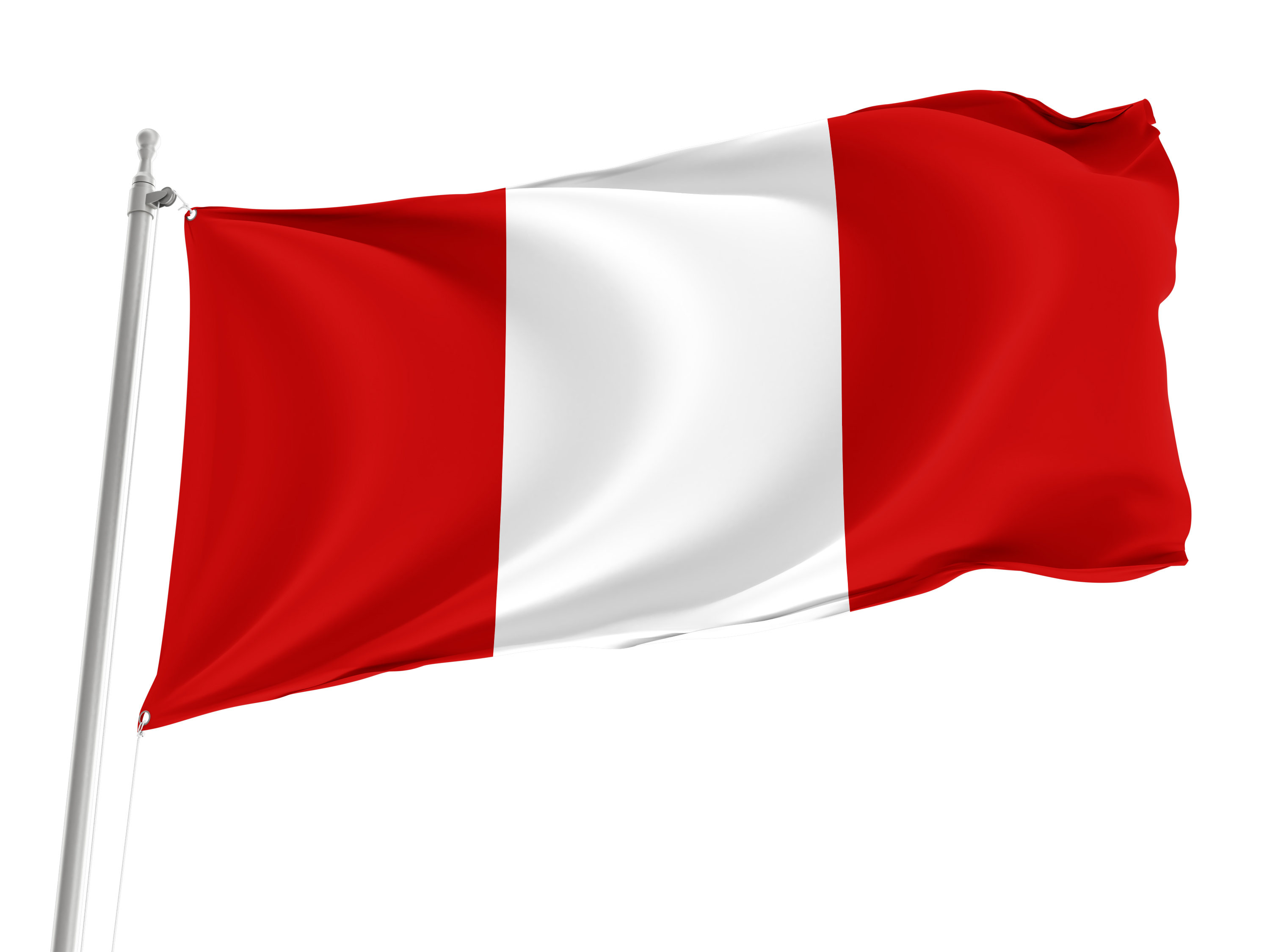 Pordenone Flag for Indoor & Outdoor Use
