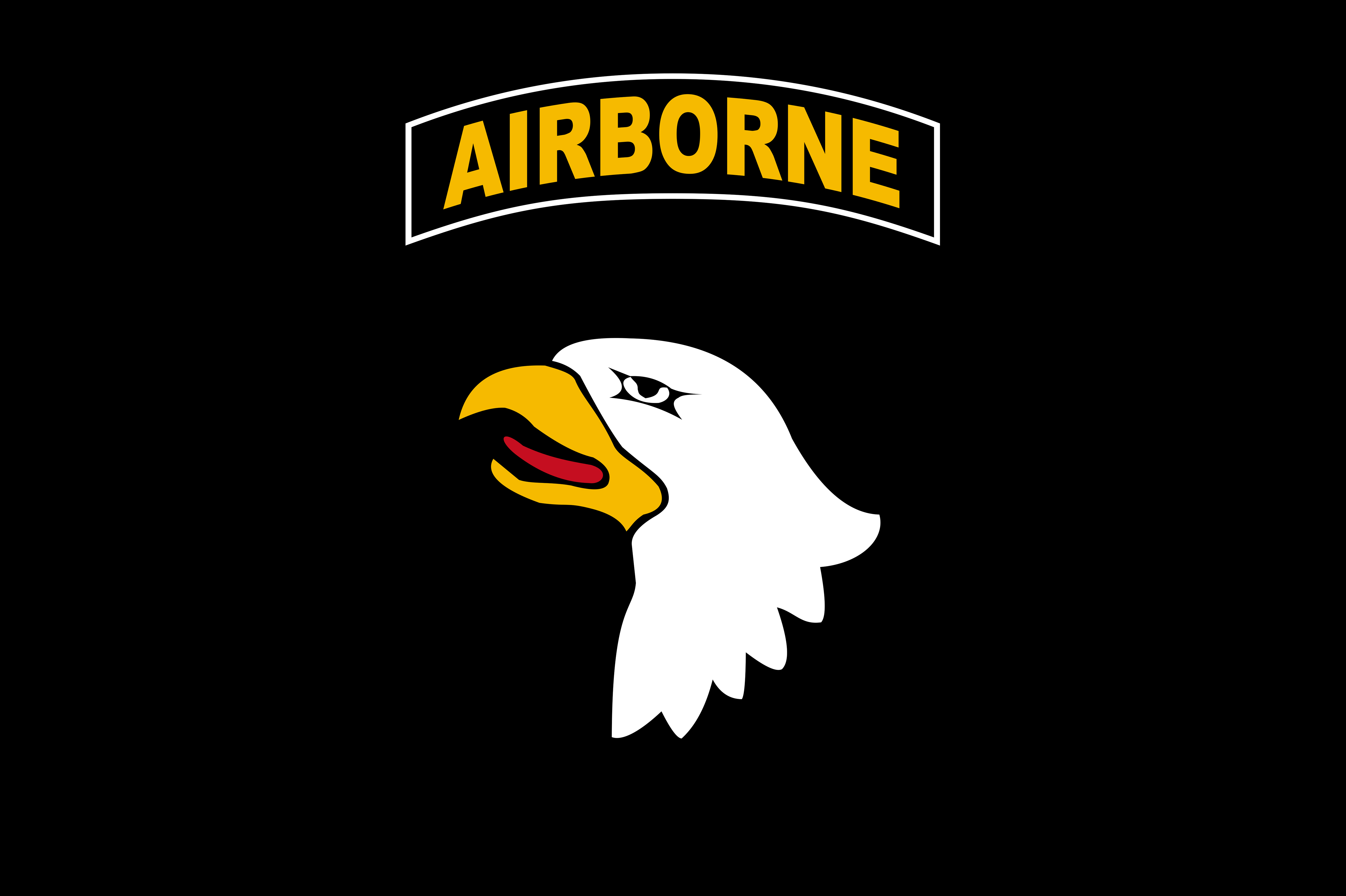101st Airborne Division Black Flag for Indoor & Outdoor Use