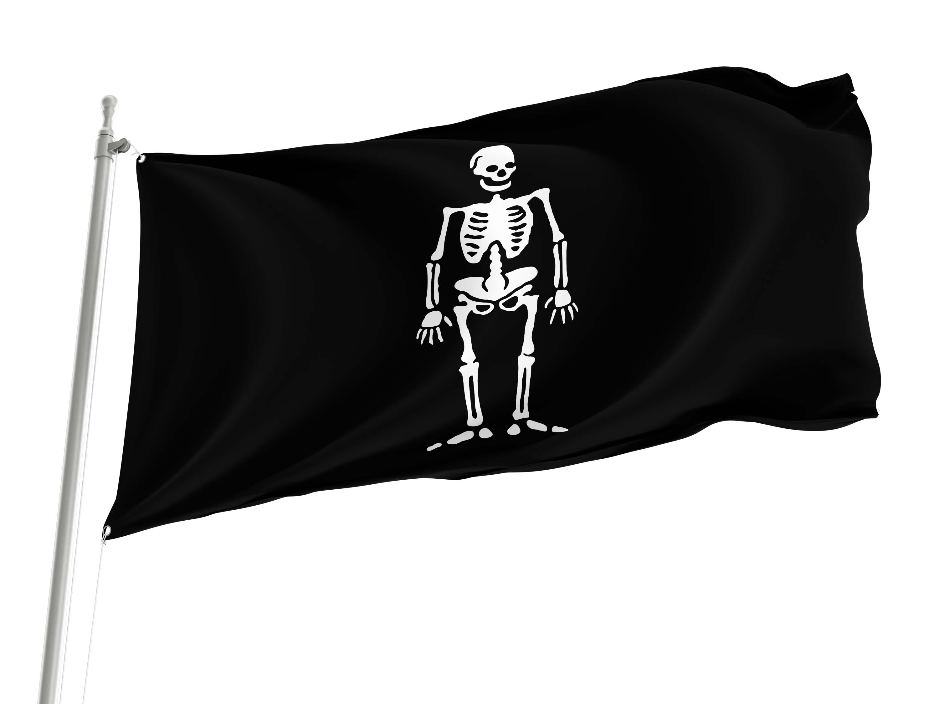 James Skyrme Flag for Indoor & Outdoor Use