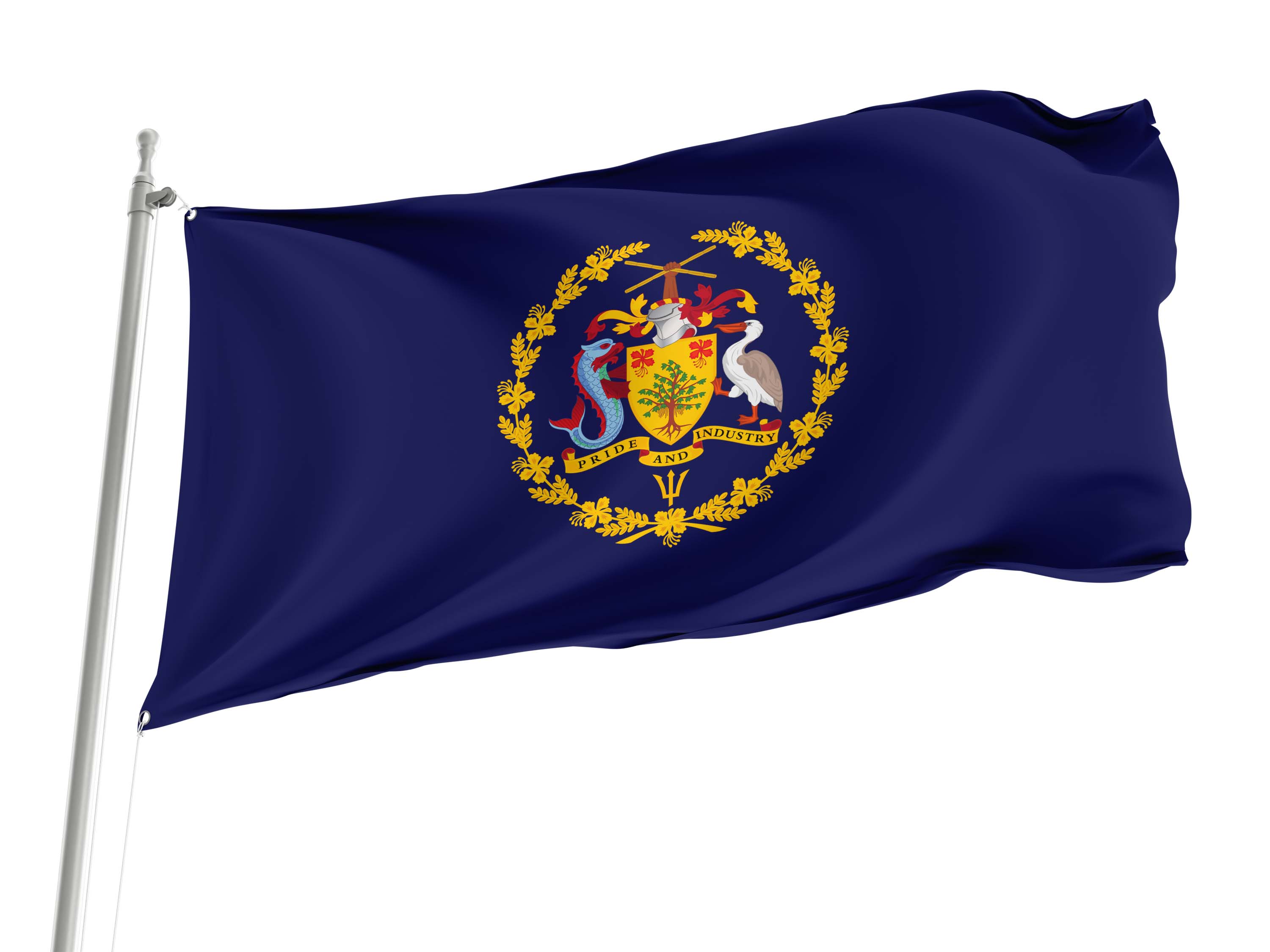 Barbados President Flag for Indoor & Outdoor Use