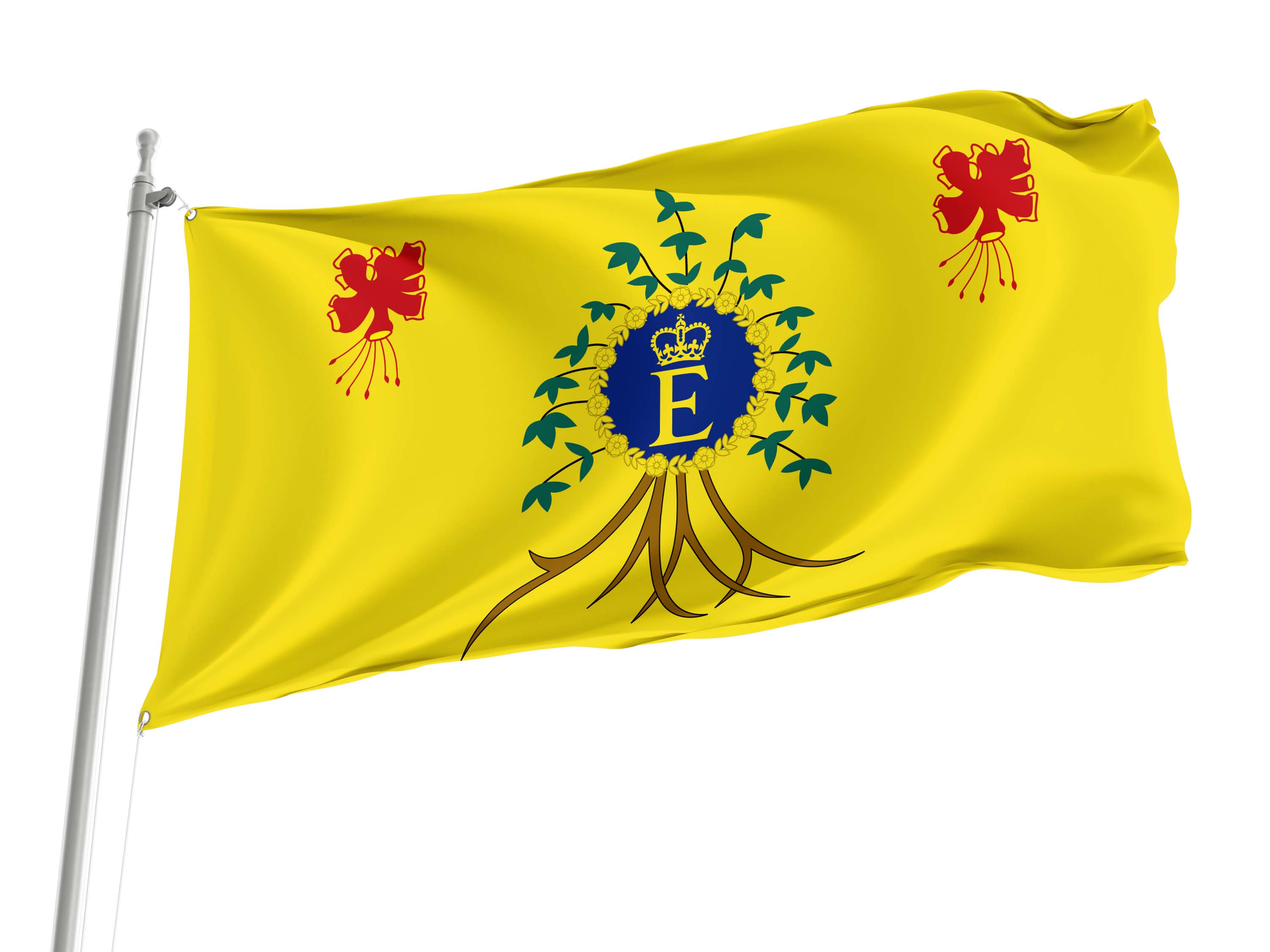 Personal Flag of HM The Queen Elizabeth II's (Barbados)