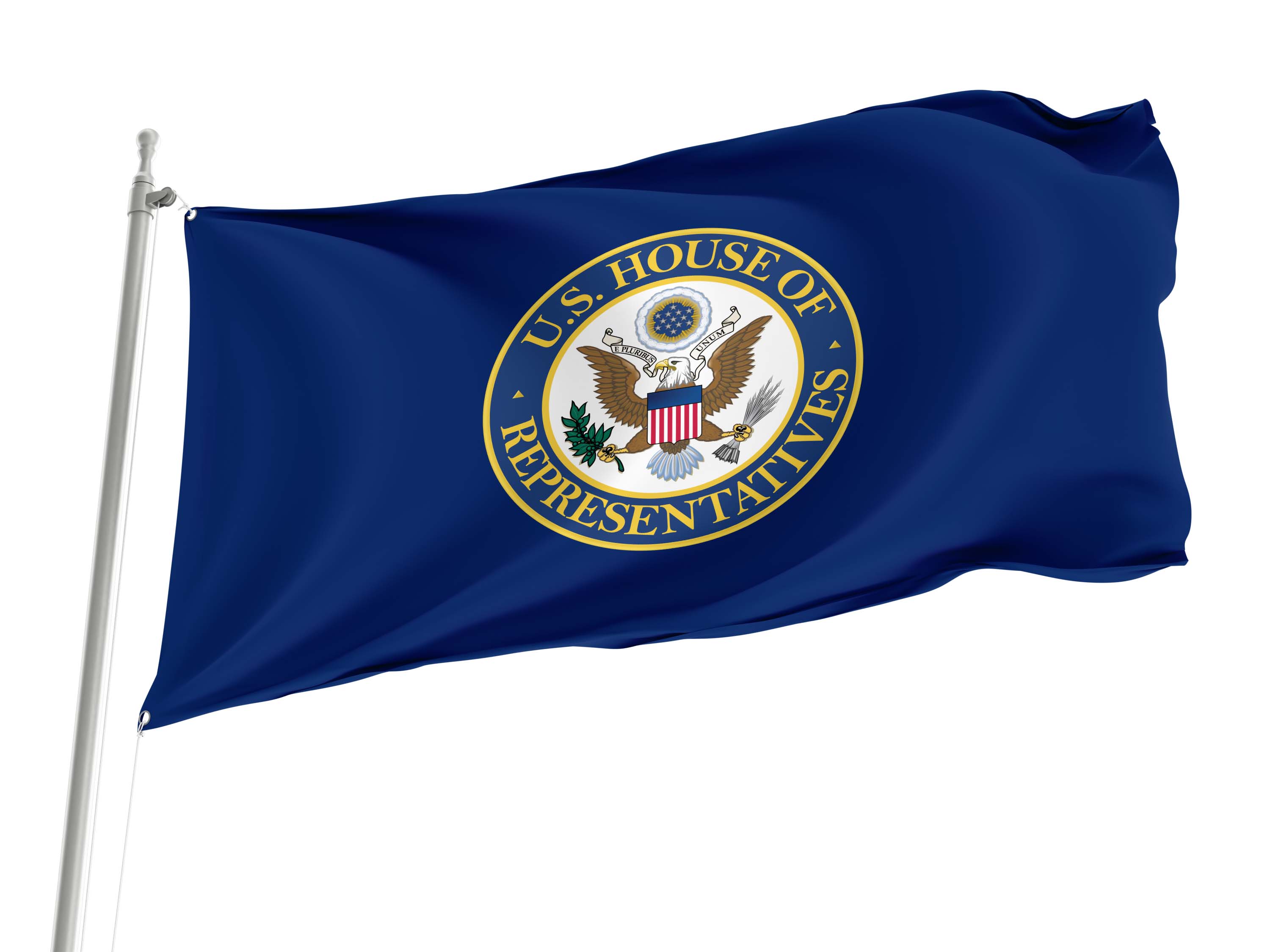 United States House of Representatives Flag