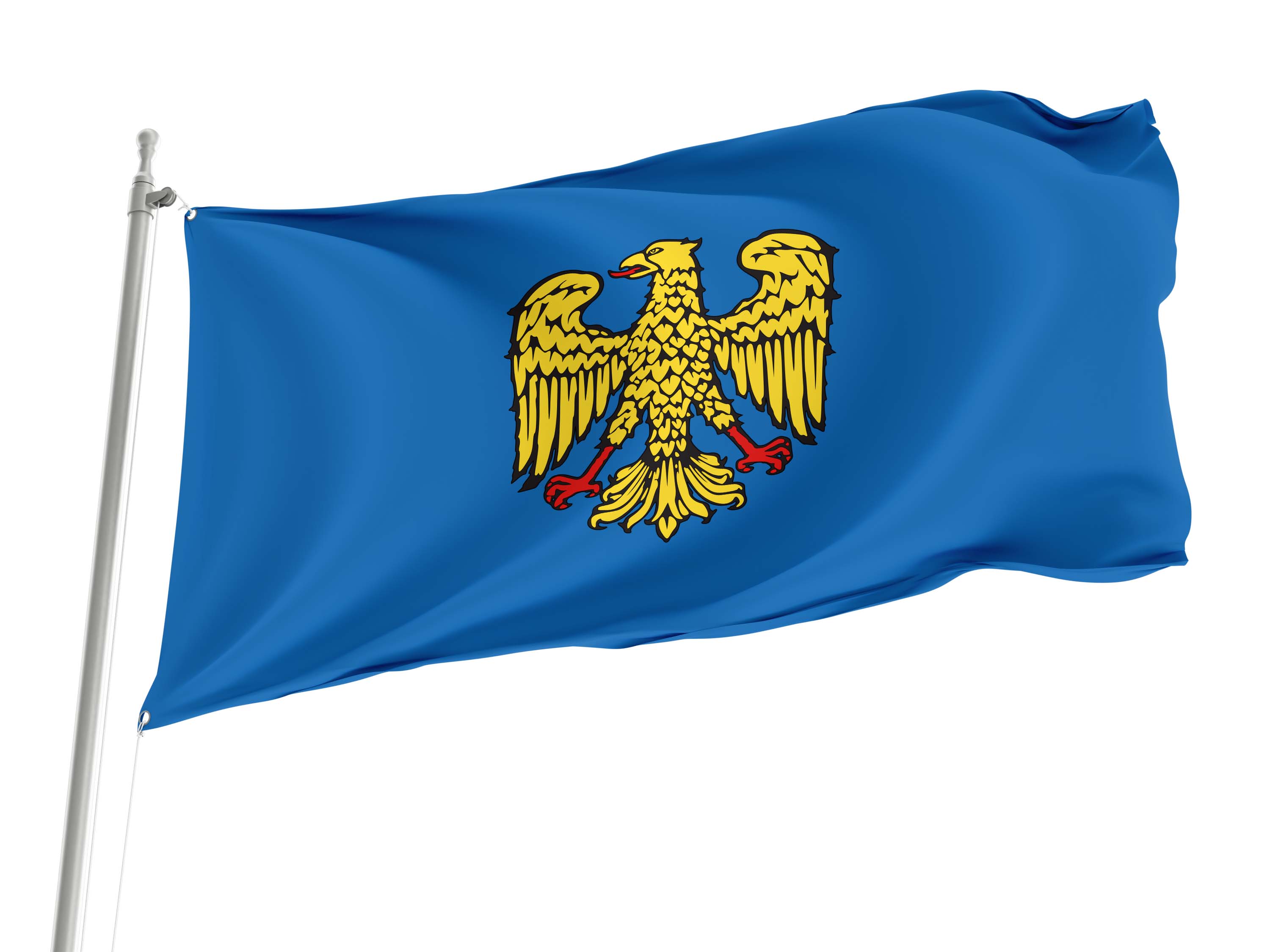 Friuli Flag for Indoor & Outdoor Use