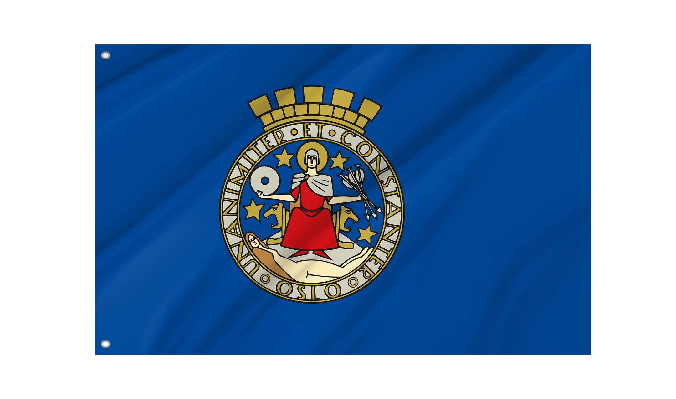 Oslo Flag for Indoor & Outdoor Use