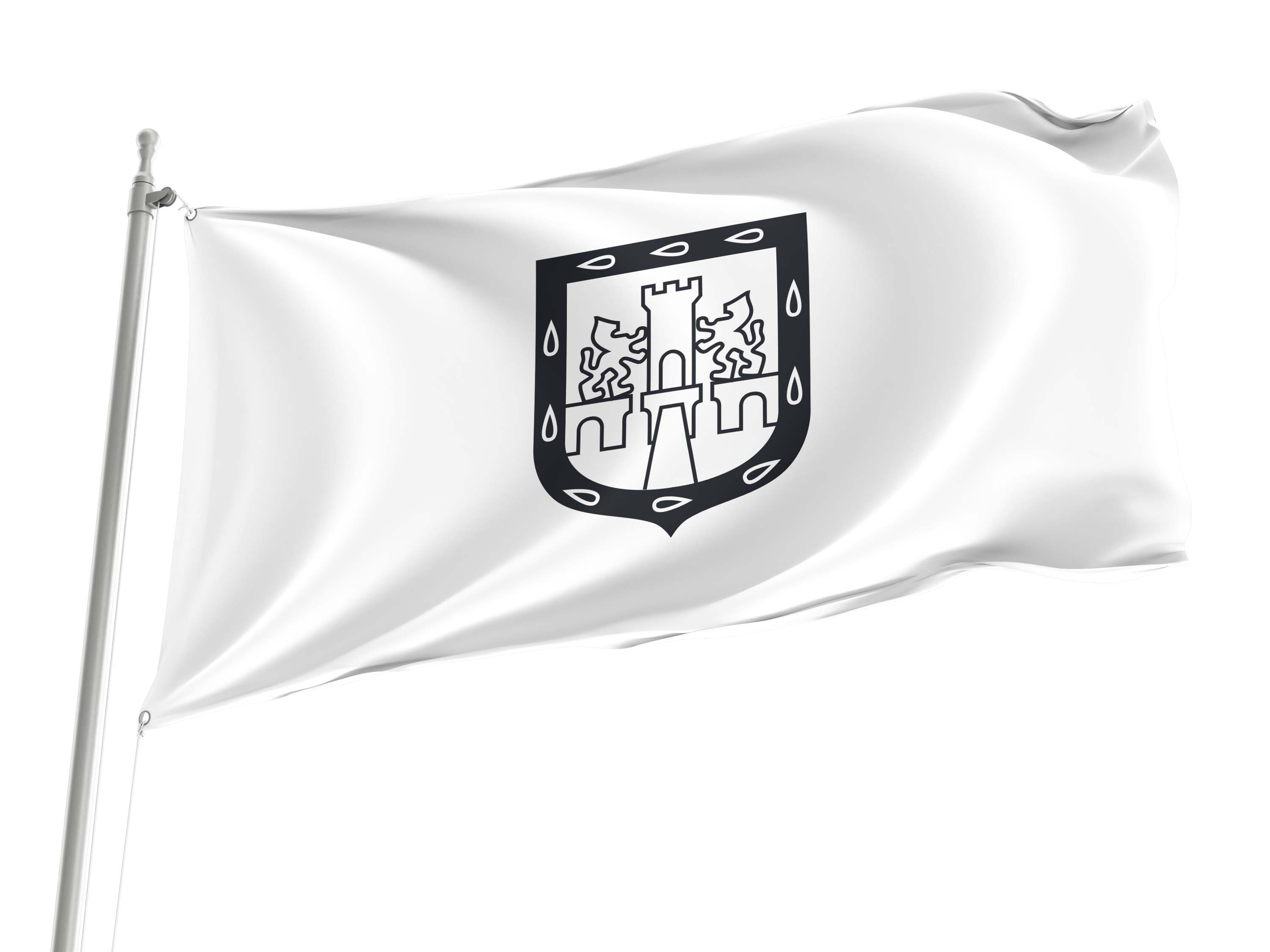 Mexico City Flag for Indoor & Outdoor Use