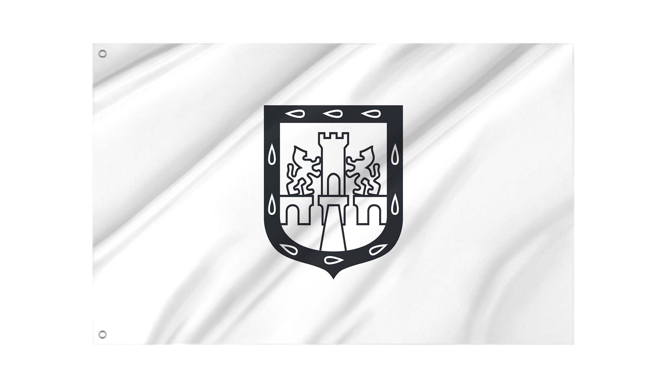 Mexico City Flag for Indoor & Outdoor Use