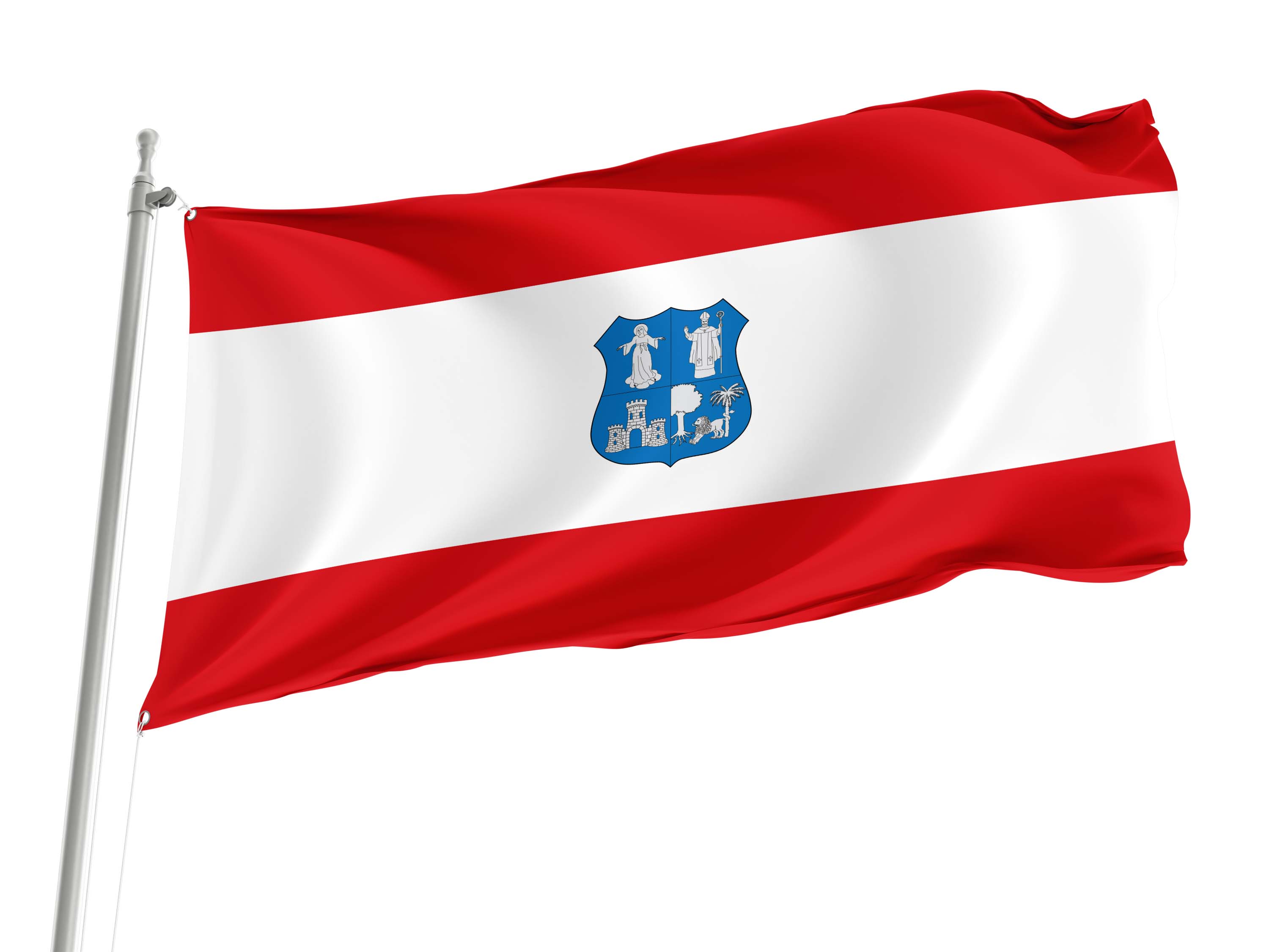 Asunción Flag for Indoor & Outdoor Use