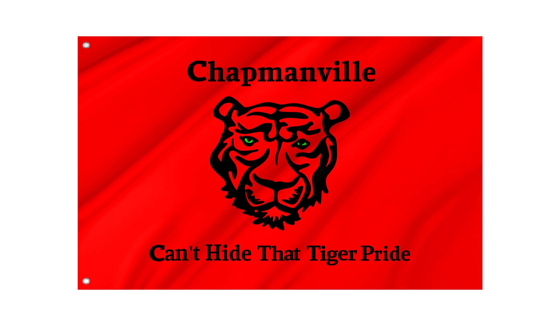 Chapmanville (2008-2022) Flag for Indoor & Outdoor Use