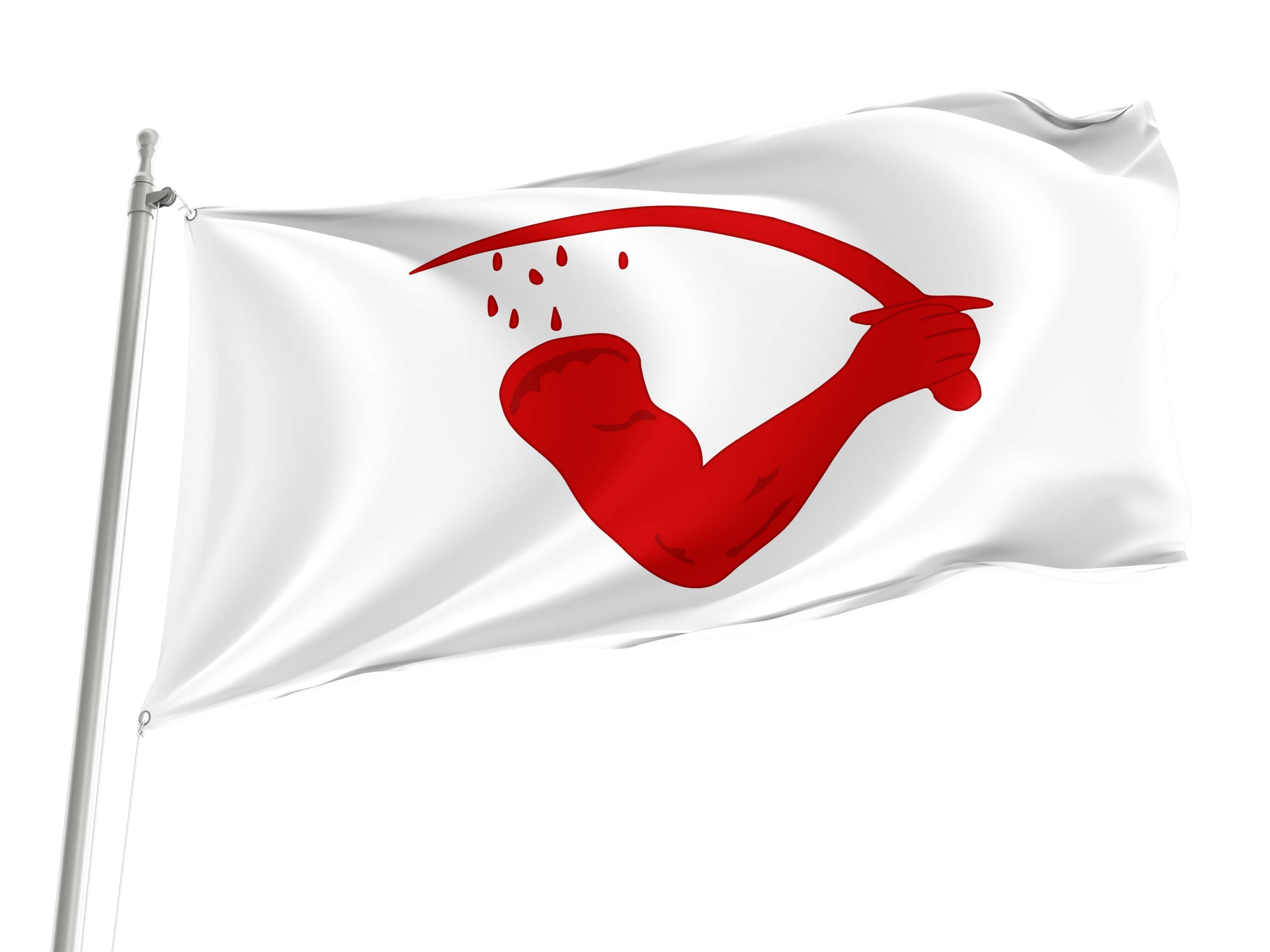 Goliad County, Texas  Flag for Indoor & Outdoor Use