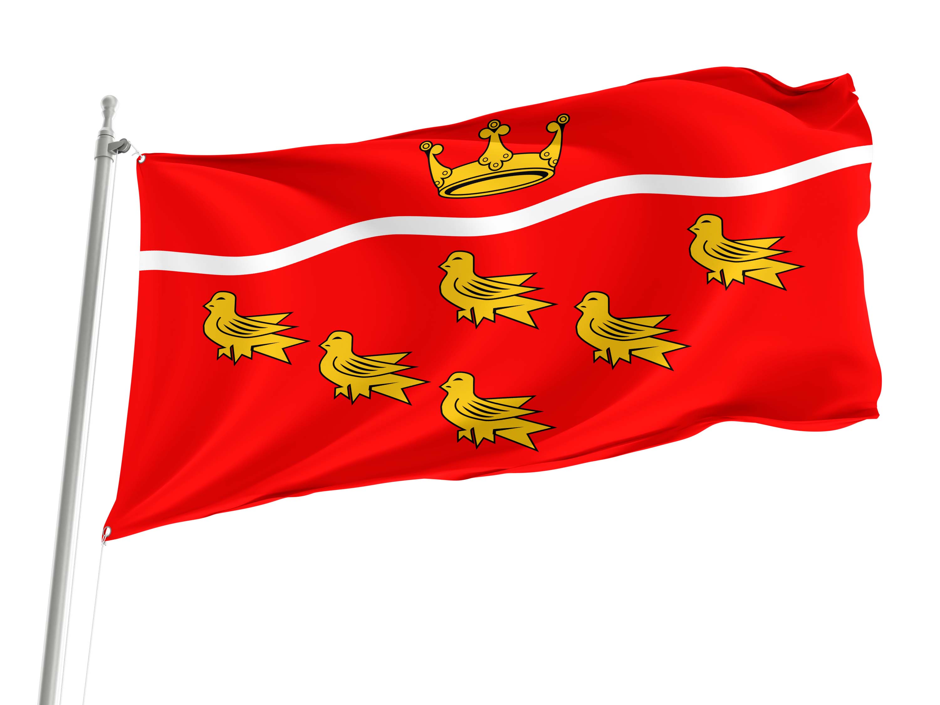 East Sussex County Council Flag for Indoor & Outdoor Use