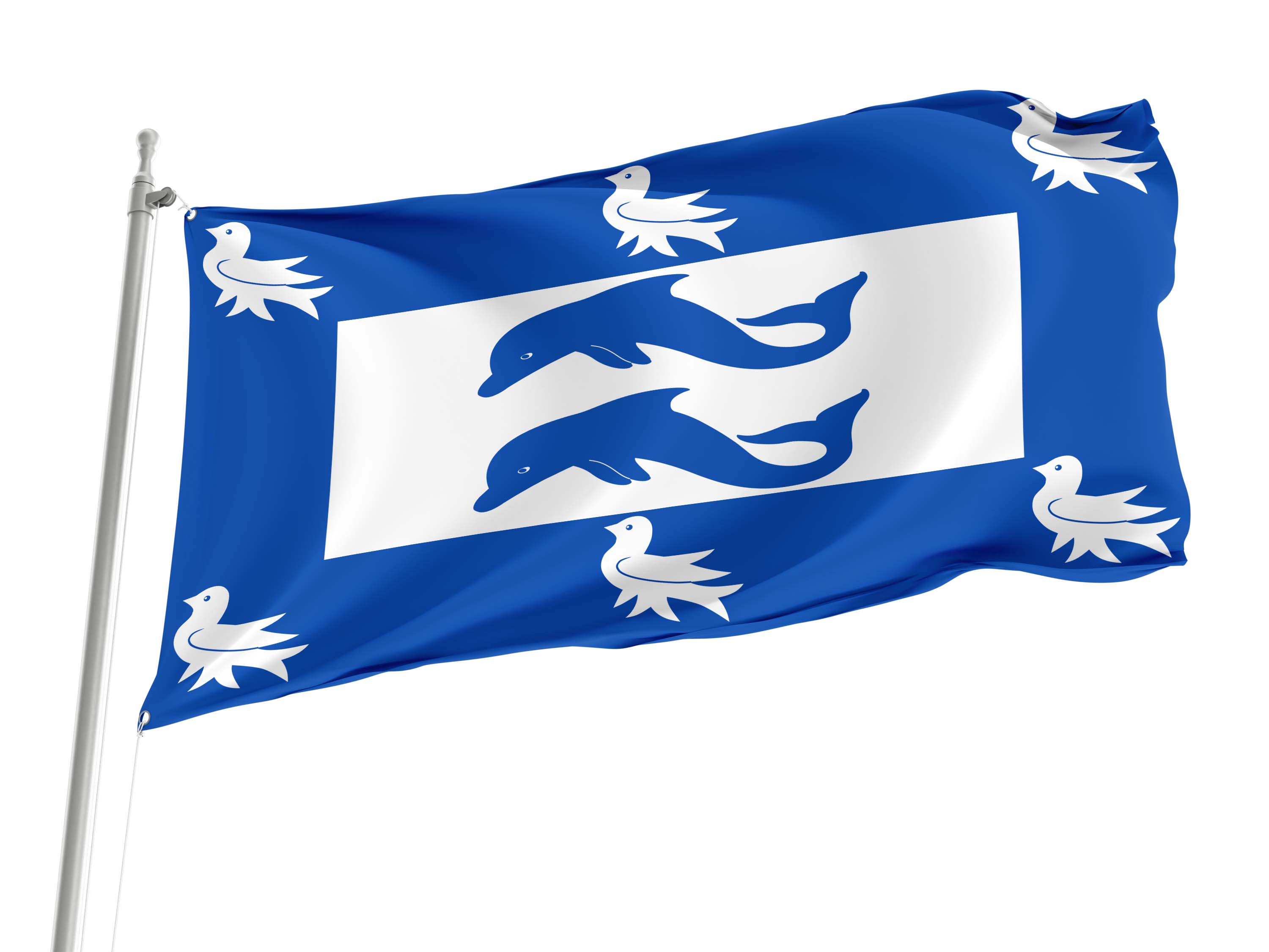 Brighton and Hove Flag for Indoor & Outdoor Use