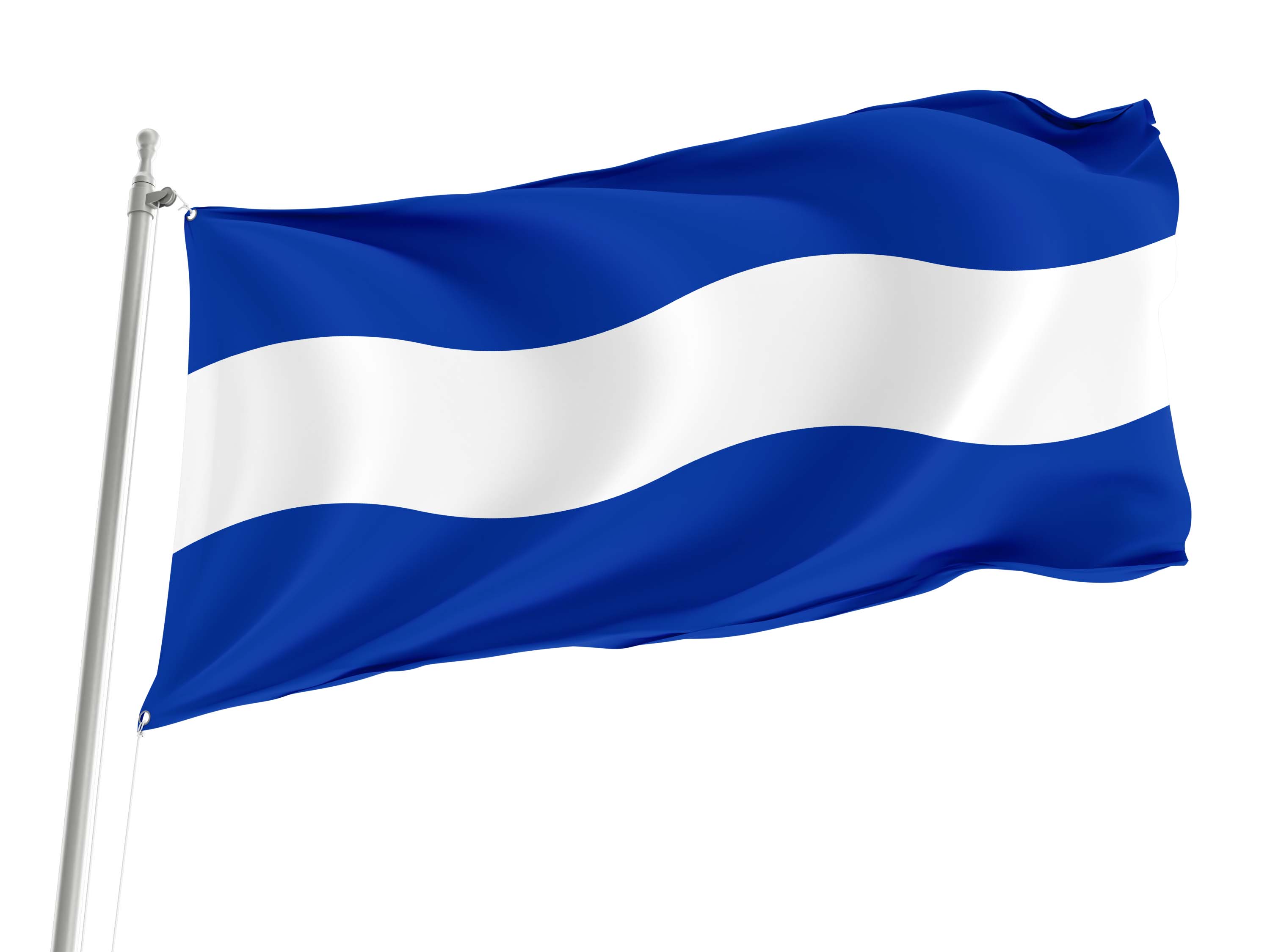 Maassluis Flag for Indoor & Outdoor Use