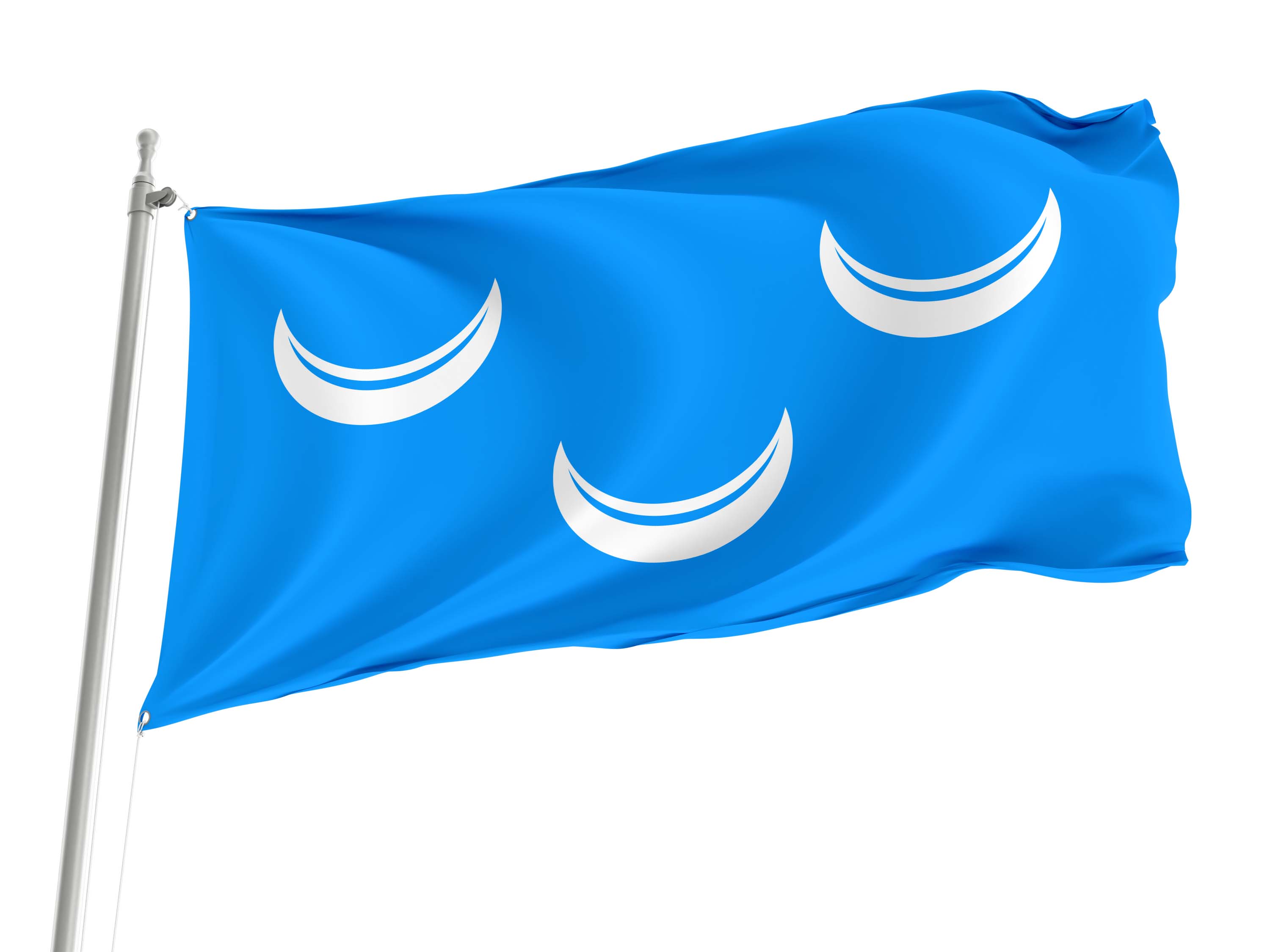 Wassenaar Flag for Indoor & Outdoor Use