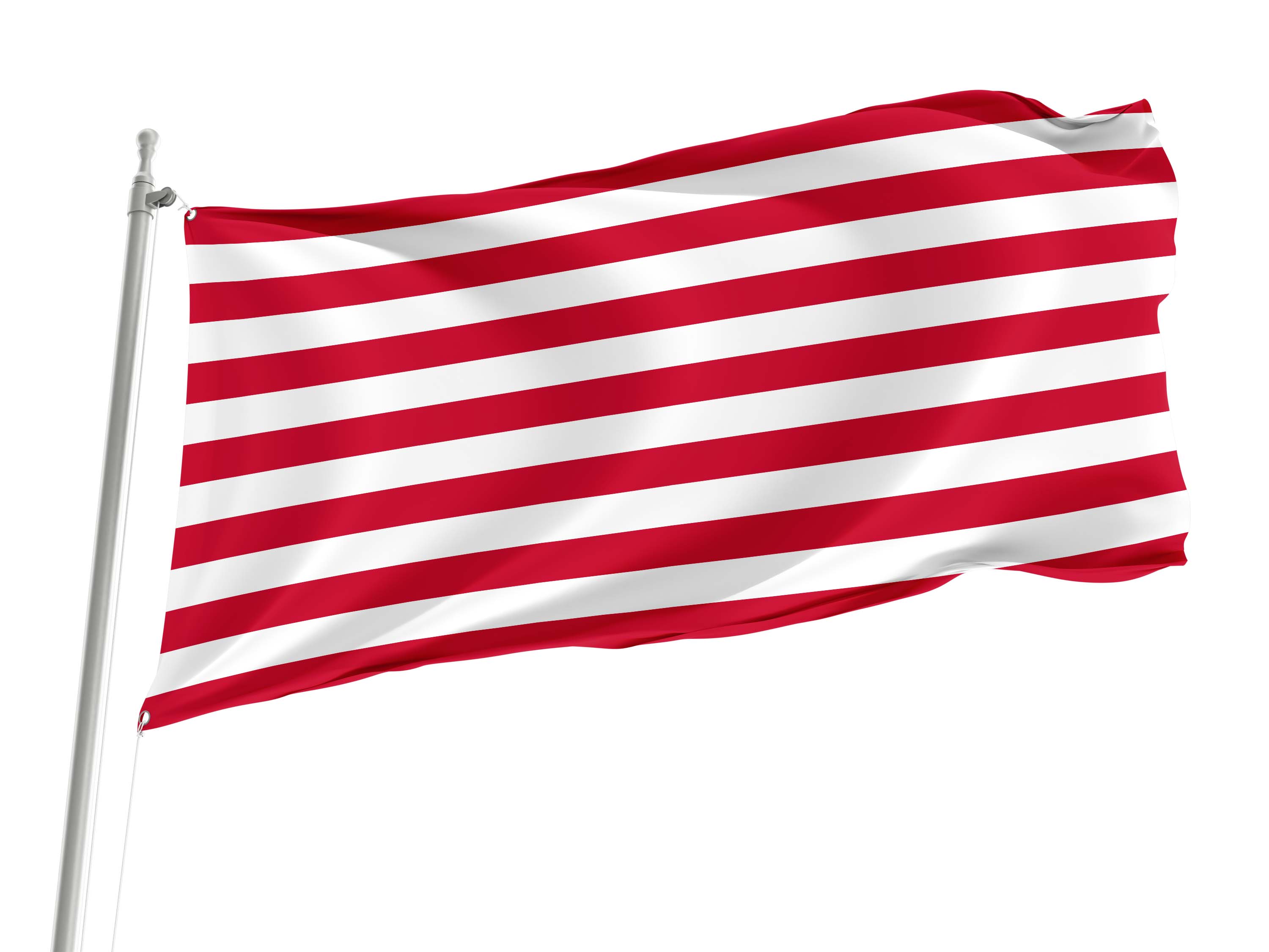 Goes Flag for Indoor & Outdoor Use